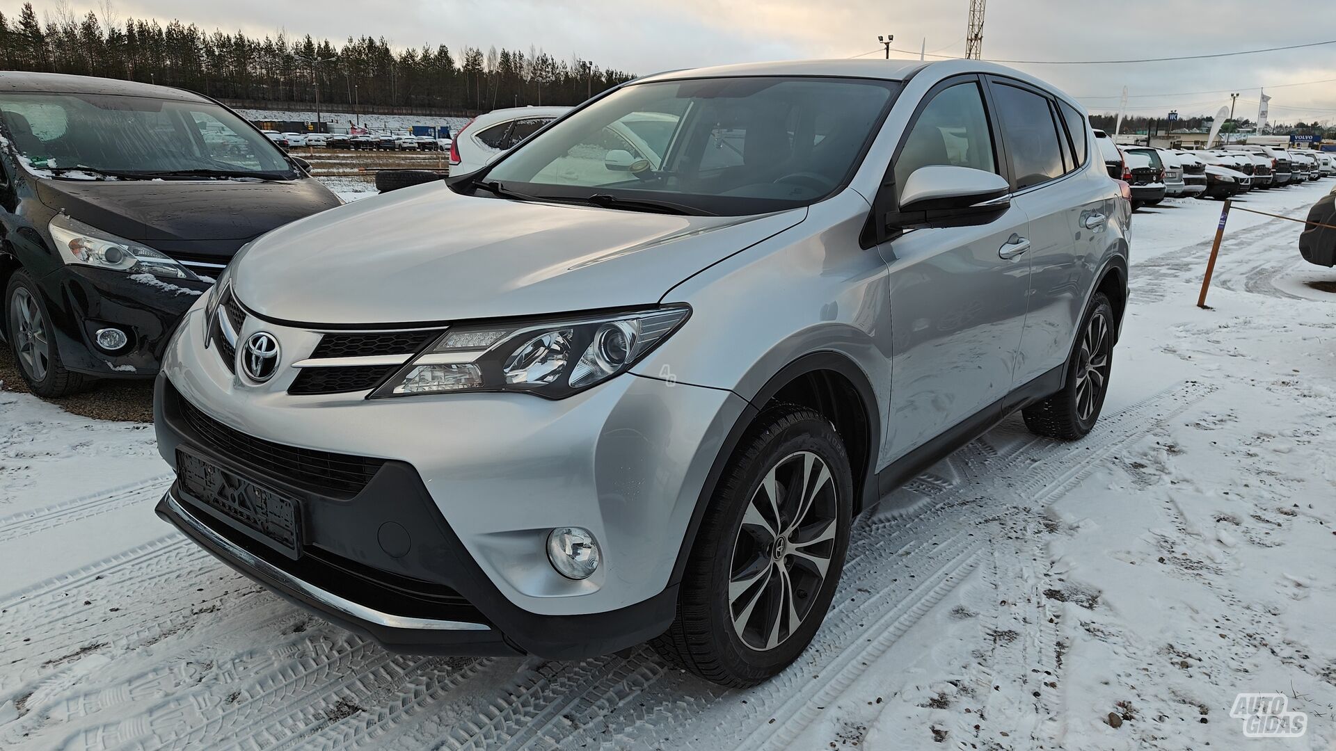 Toyota RAV4 2015 m Visureigis / Krosoveris