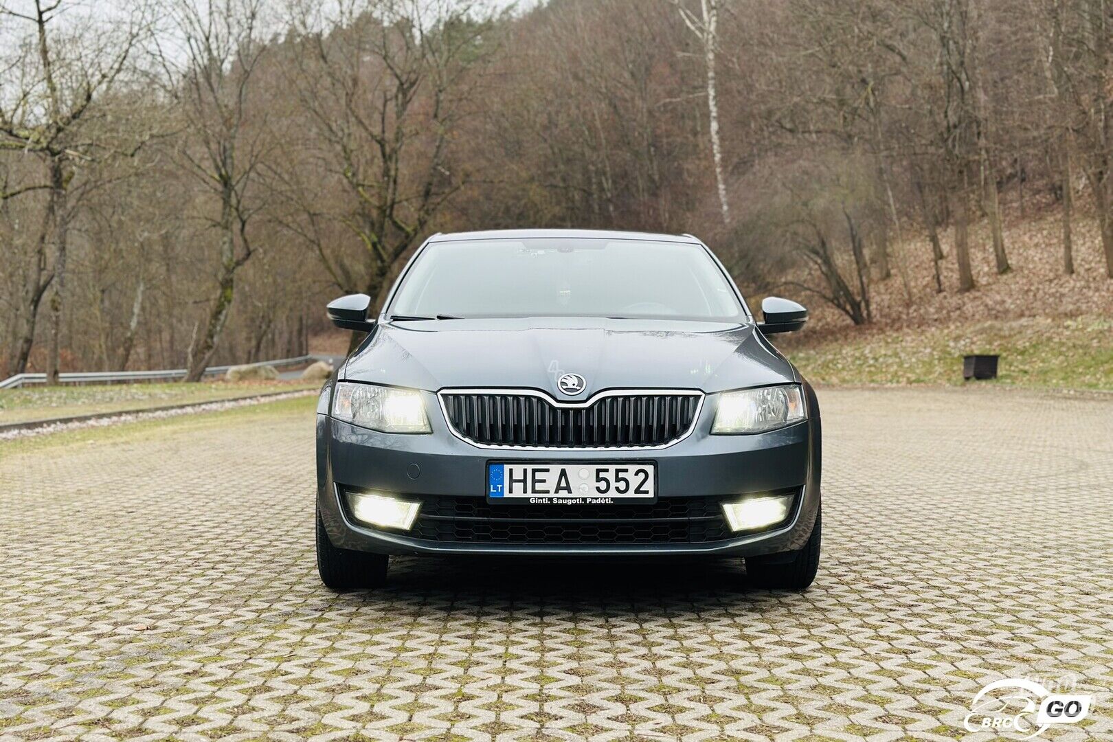 Skoda Octavia 2014 y Hatchback