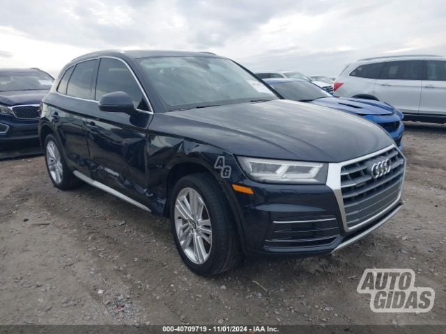 Audi Q5 2018 m Visureigis / Krosoveris