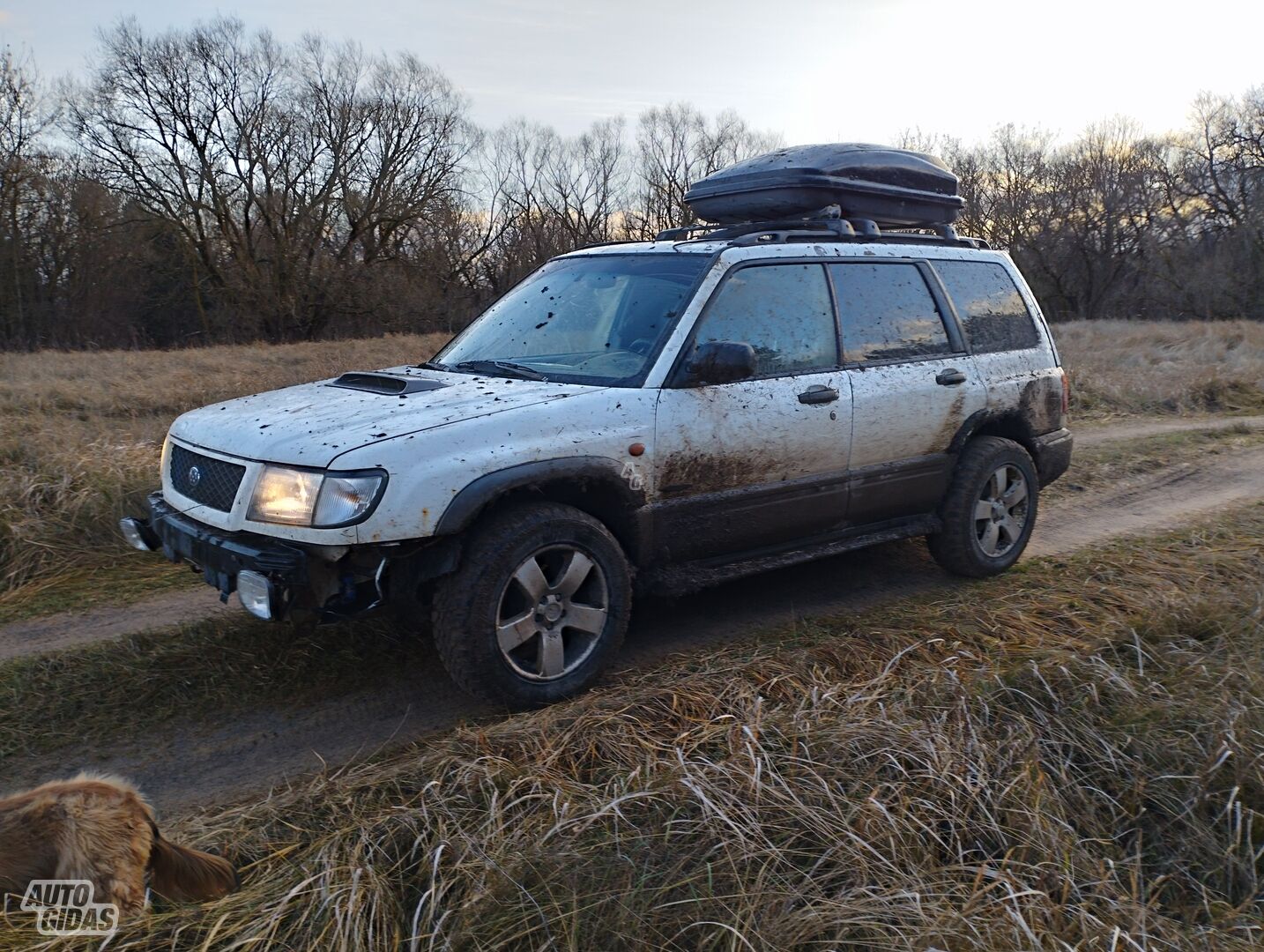 Subaru Forester 2000 y Off-road / Crossover