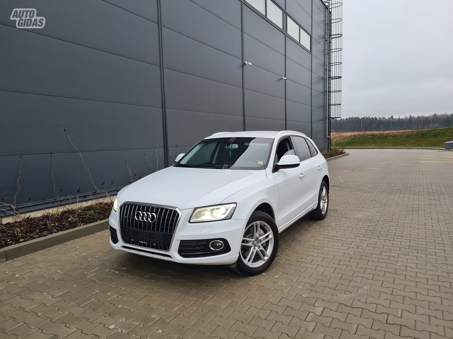 Audi Q5 2015 m Visureigis / Krosoveris