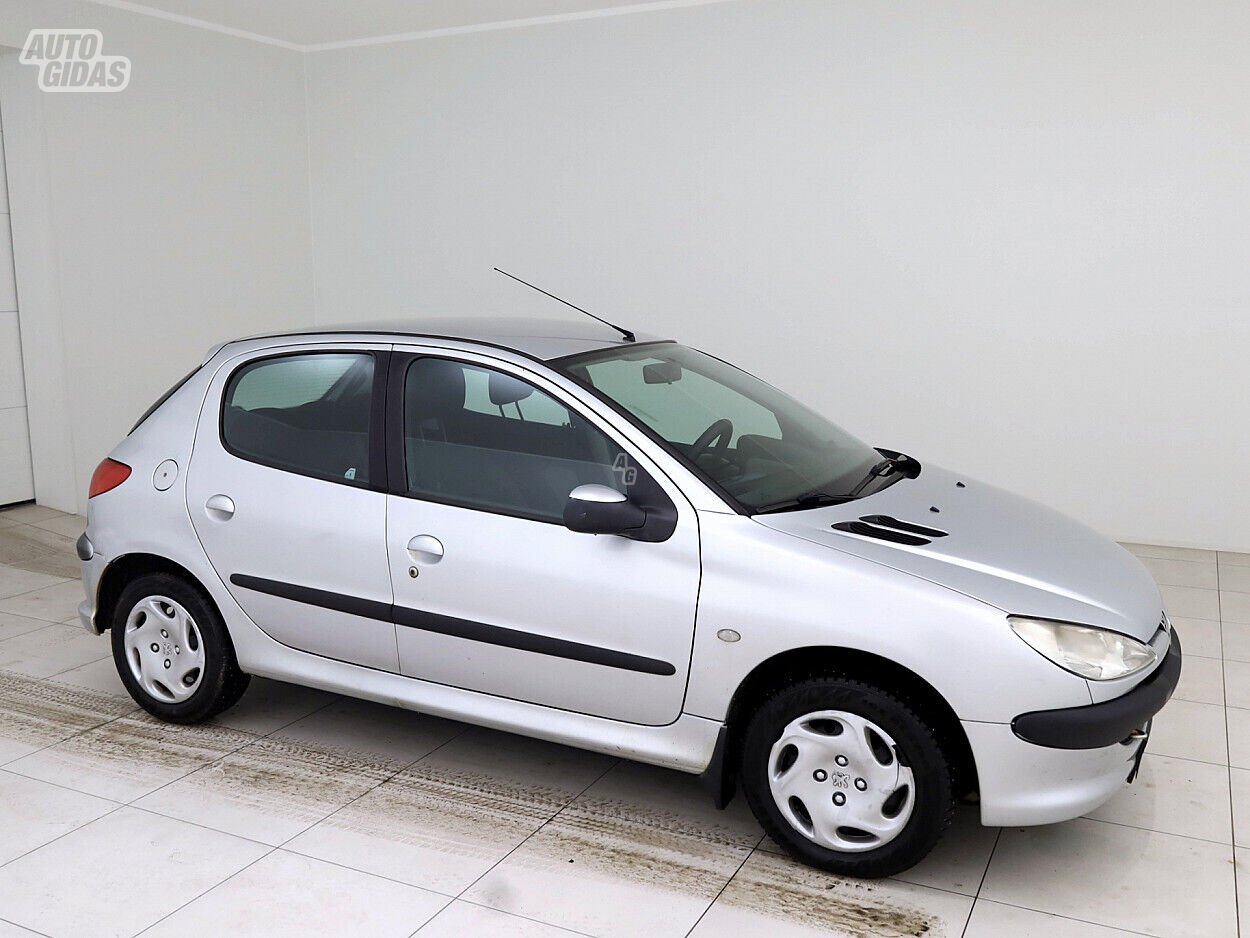 Peugeot 206 2004 m Hečbekas