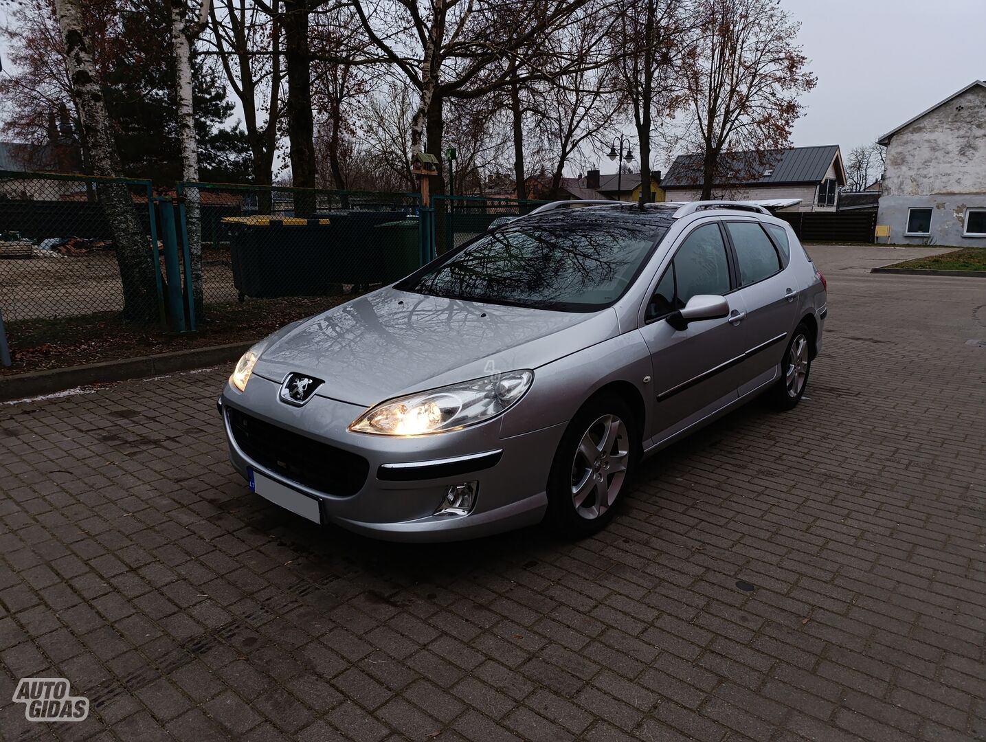 Peugeot 407 2005 y Wagon