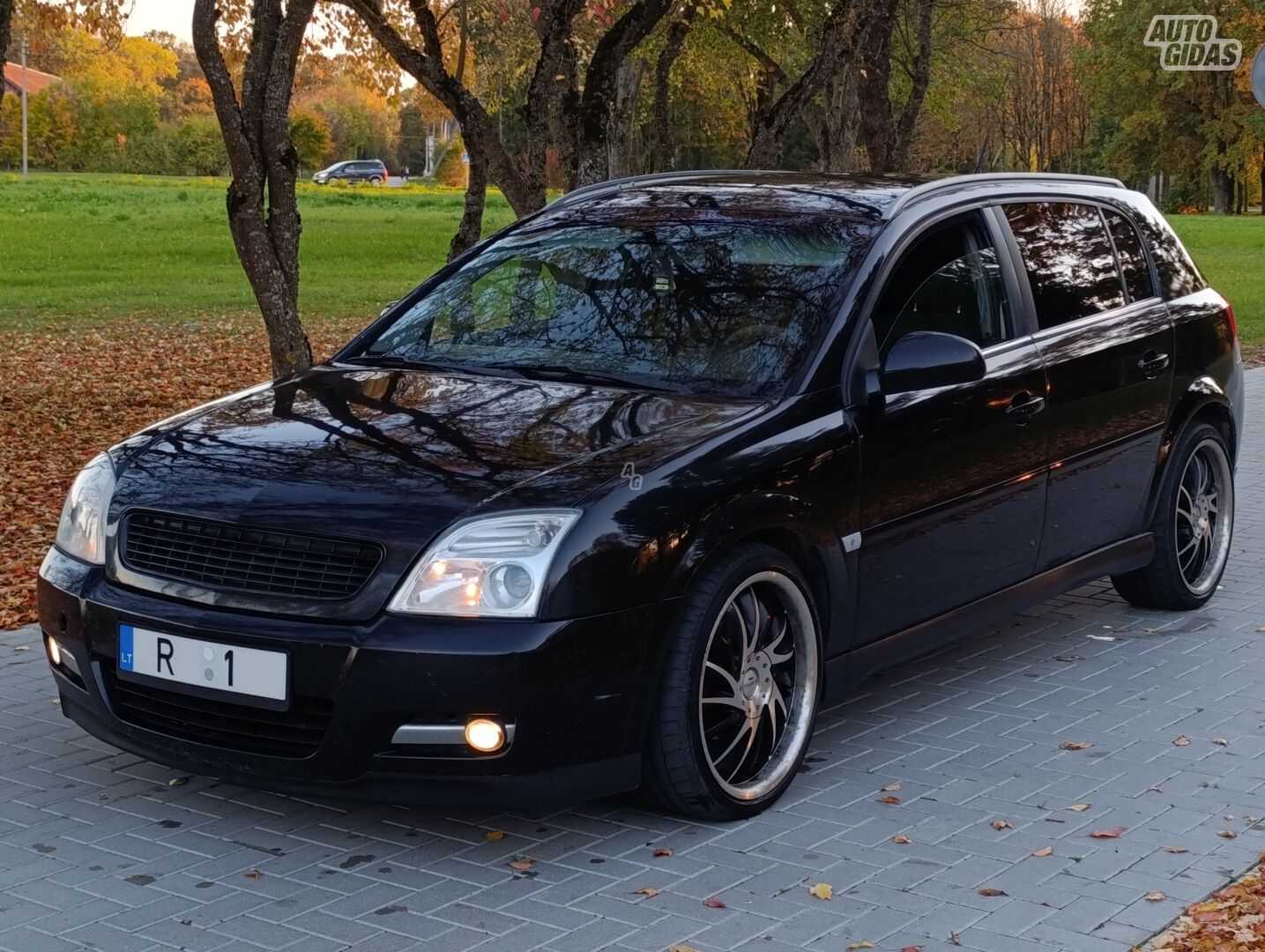 Opel Signum 2004 г Хэтчбек