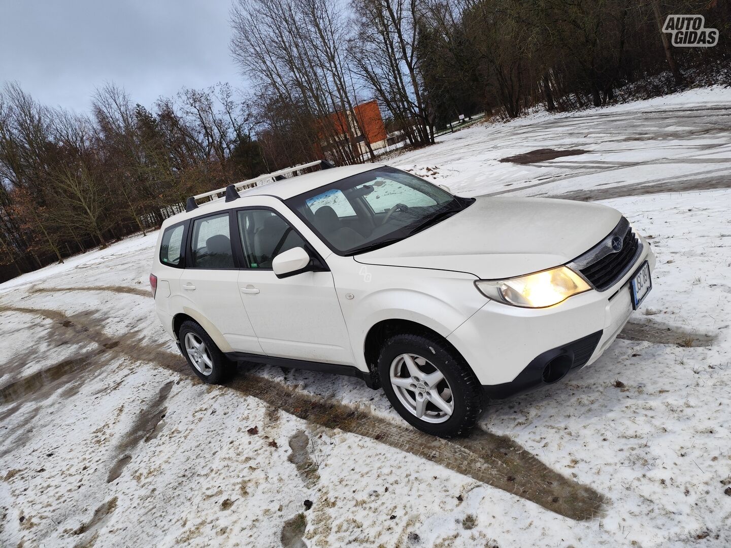 Subaru Forester 2009 m Visureigis / Krosoveris