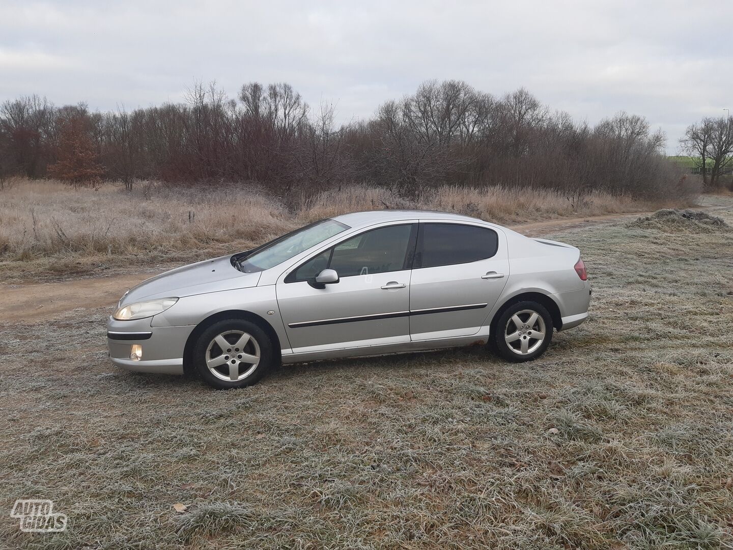 Peugeot 407 2006 y Sedan