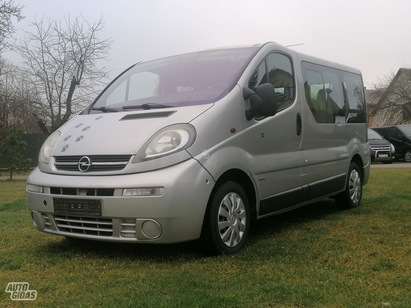 Opel Vivaro 2004 y Minibus