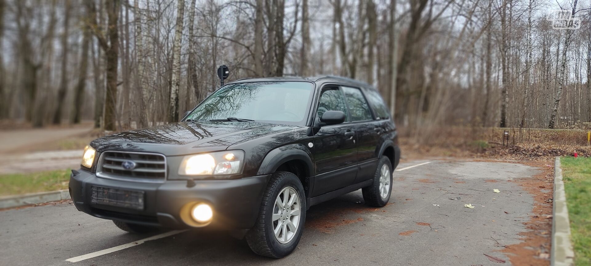 Subaru Forester 2004 г Внедорожник / Кроссовер