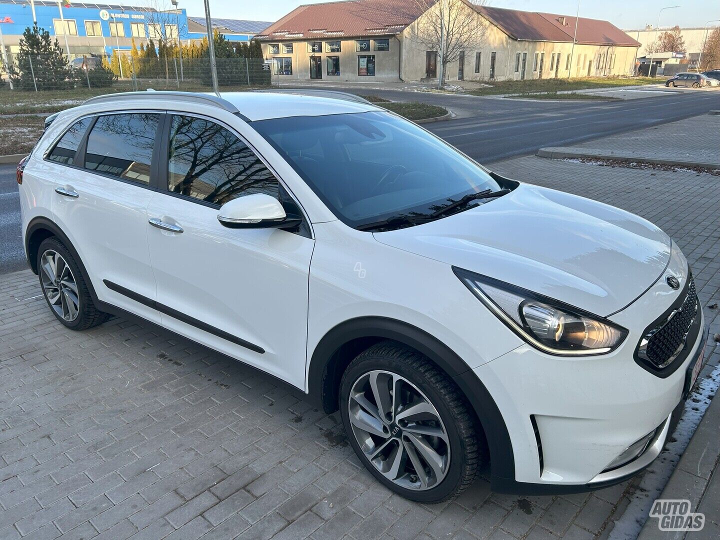 Kia Niro 2019 m Visureigis / Krosoveris