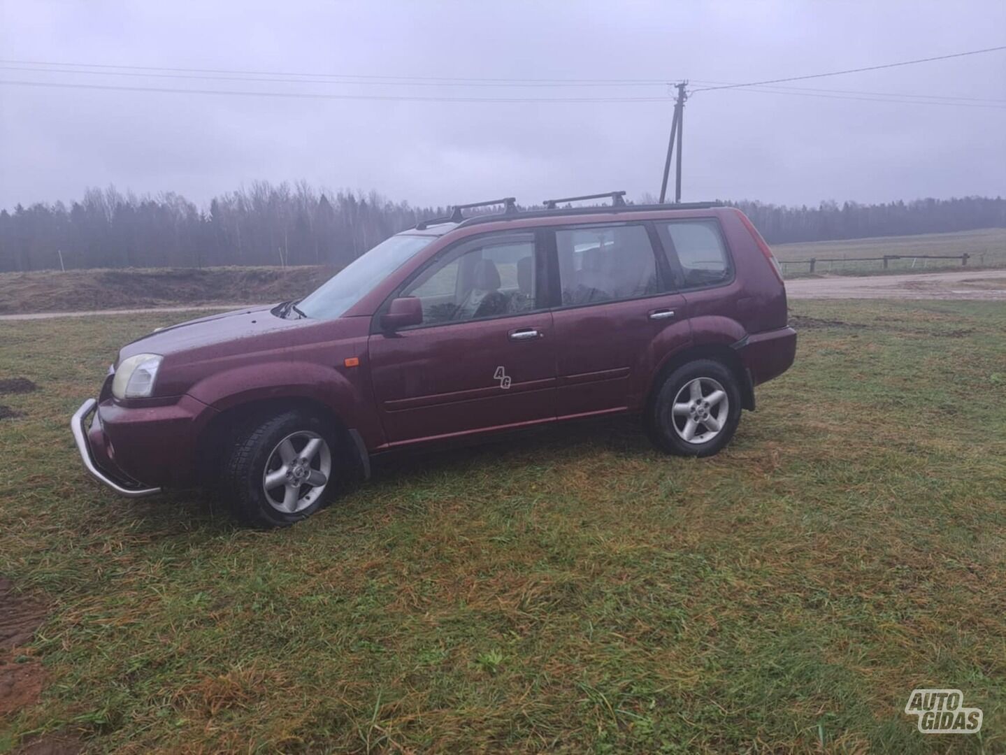 Nissan X-Trail 2003 m Visureigis / Krosoveris