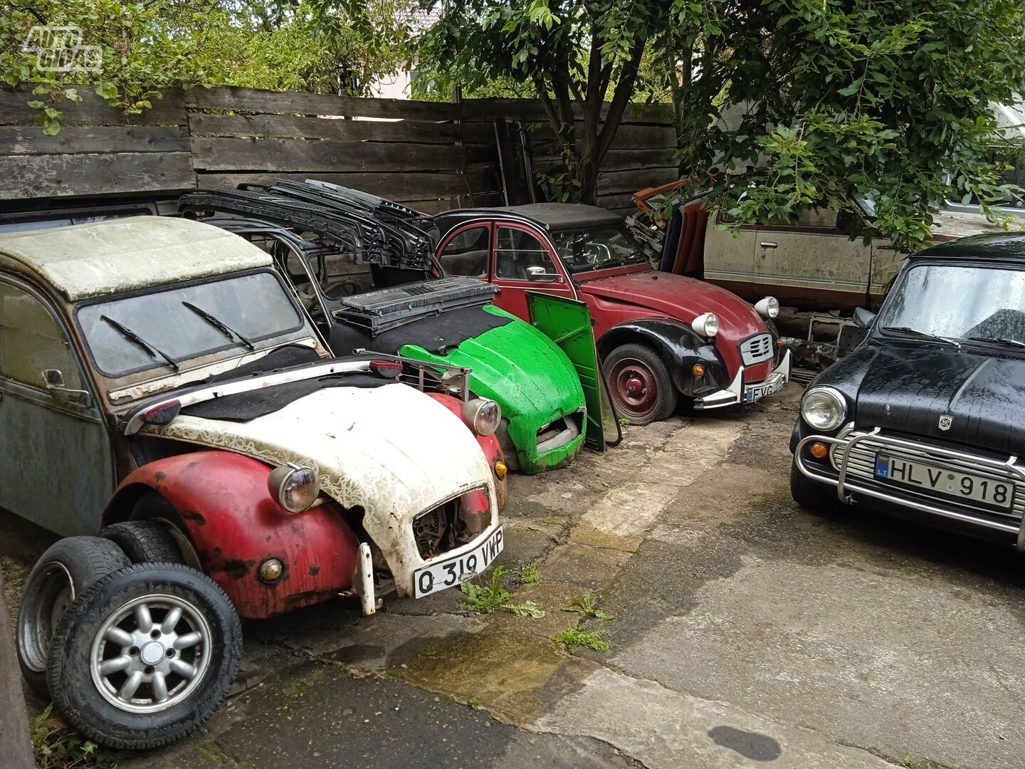 Citroen 2 CV 1980 y Convertible