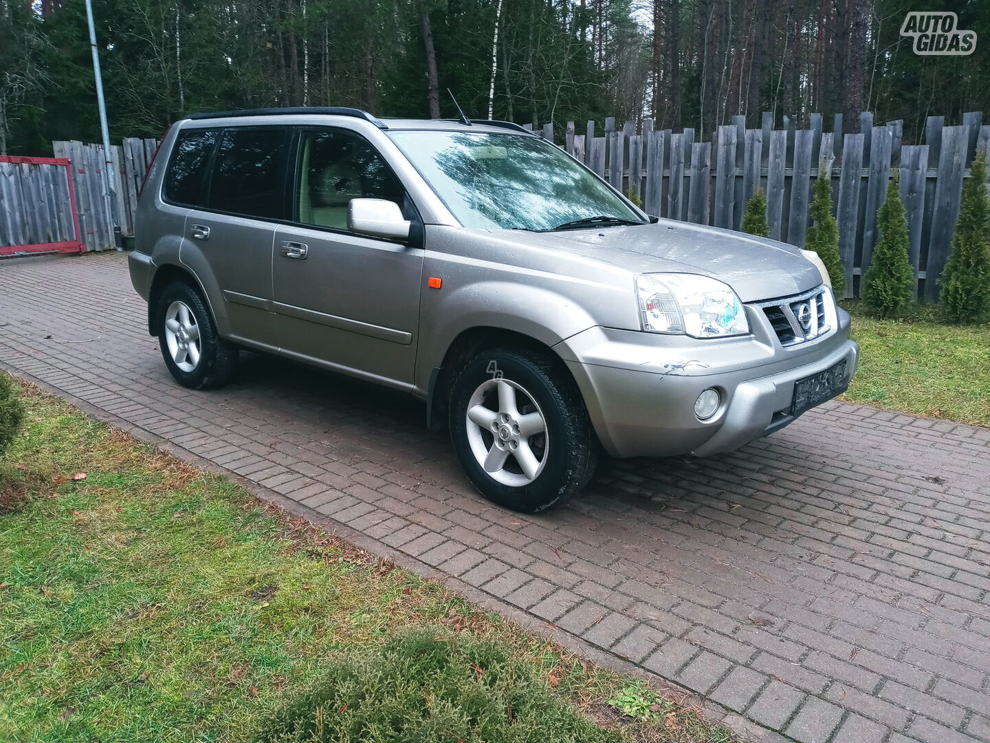 Nissan X-Trail 2002 г Внедорожник / Кроссовер