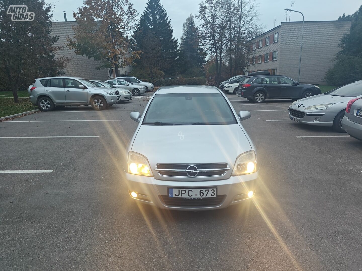 Opel Signum 2003 m Hečbekas