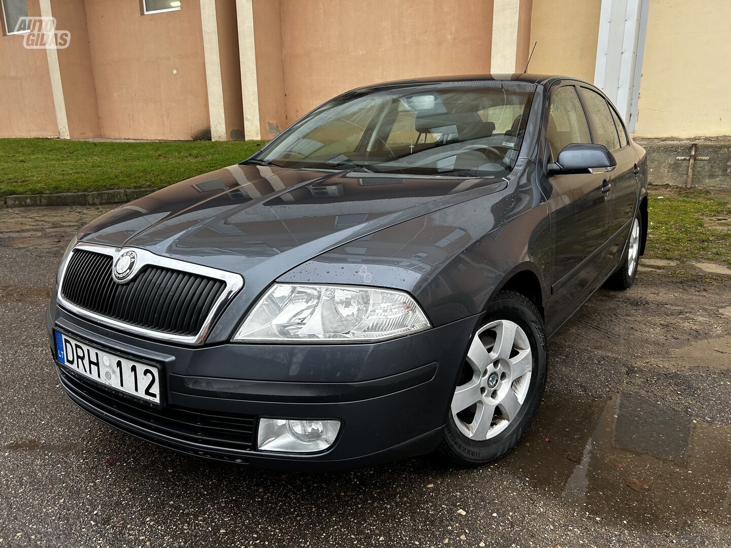 Skoda Octavia 2008 m Hečbekas