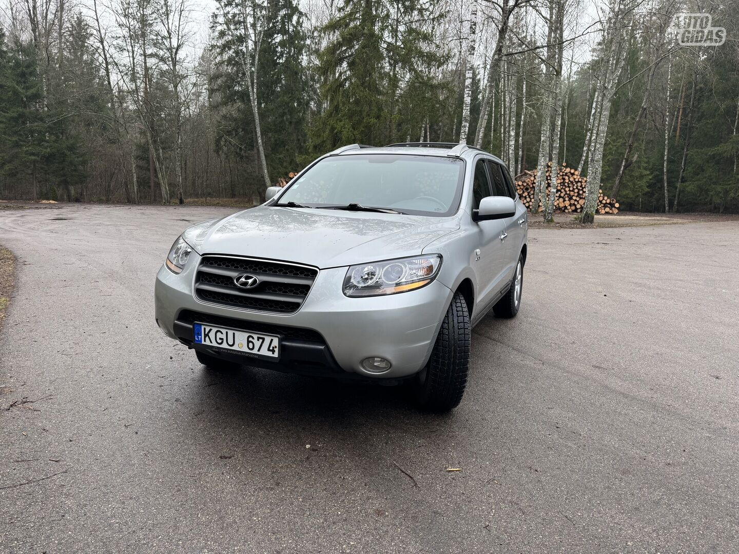 Hyundai Santa Fe 2006 г Внедорожник / Кроссовер