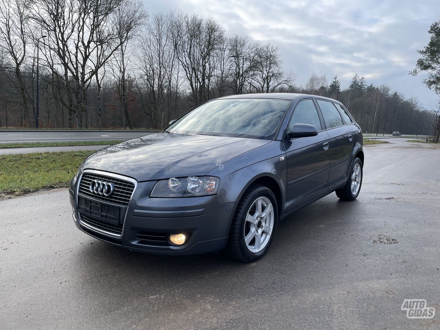 Audi A3 2007 г Хэтчбек