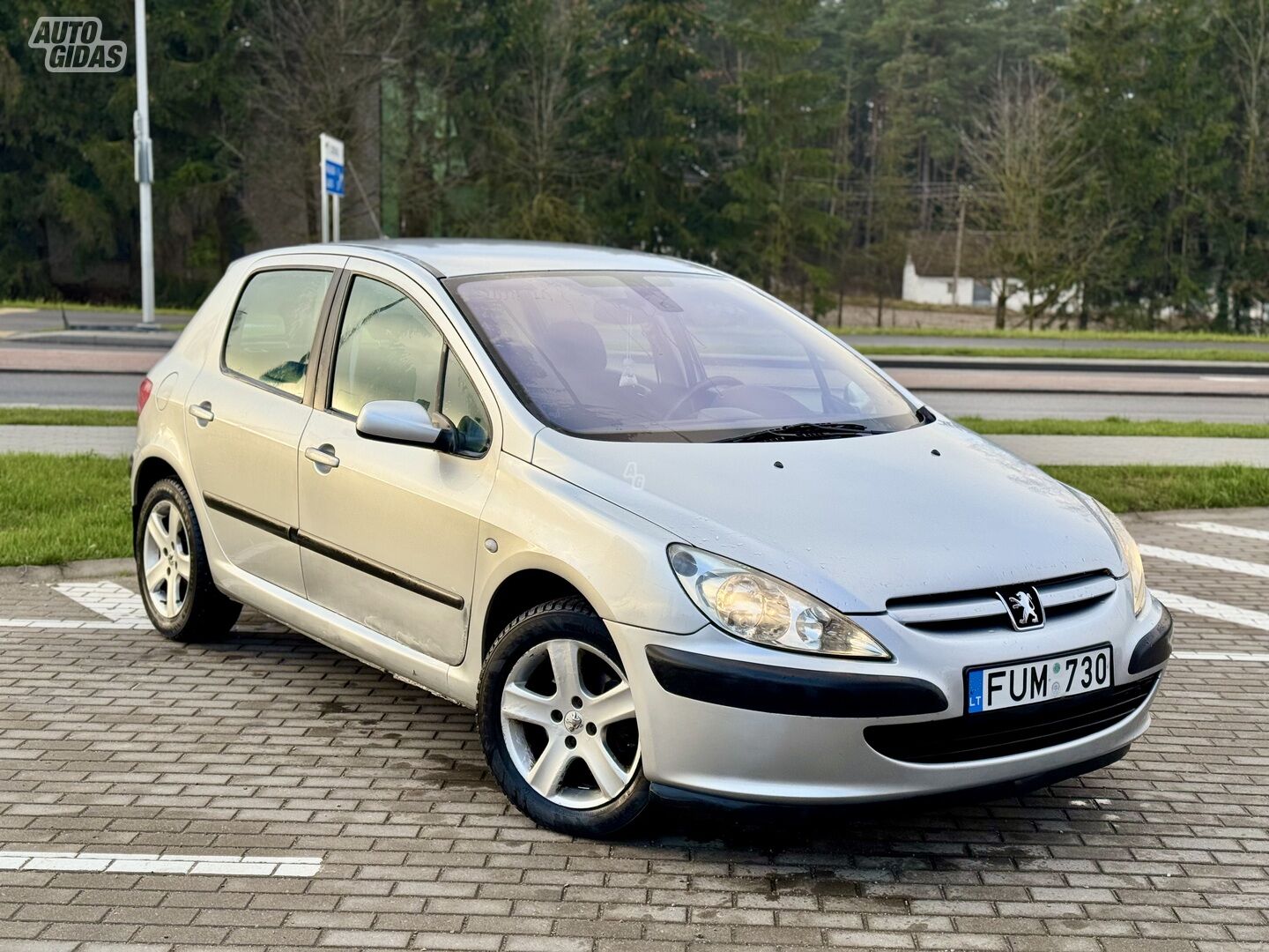 Peugeot 307 2003 г Хэтчбек