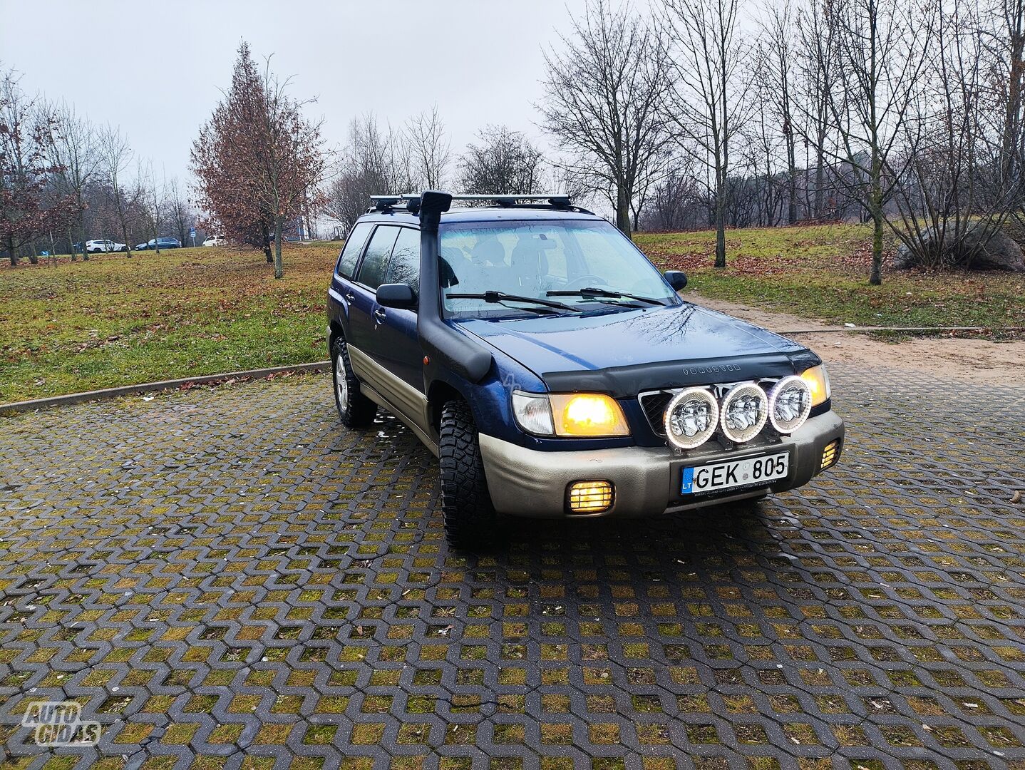 Subaru Forester 2000 m Visureigis / Krosoveris