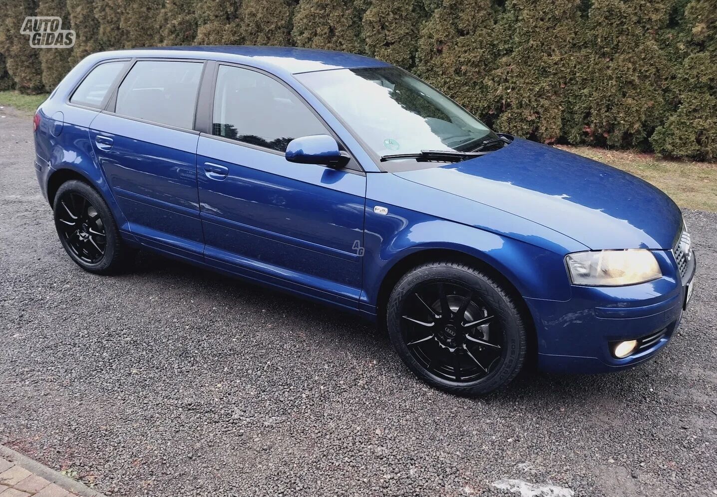 Audi A3 2007 y Hatchback