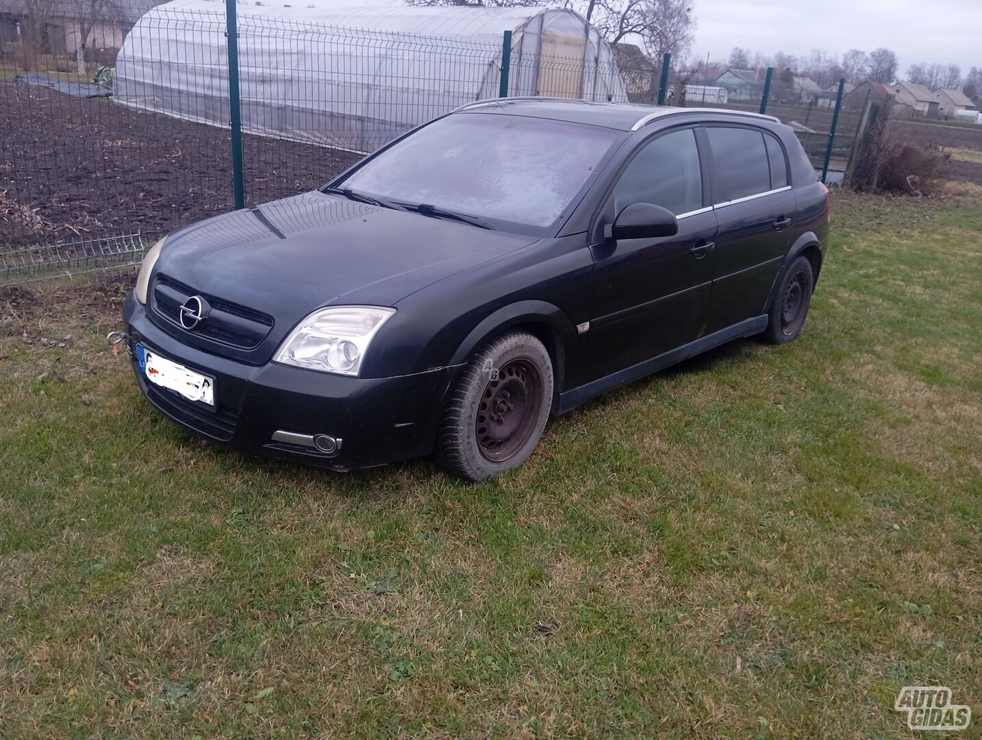 Opel Signum 2003 m Universalas