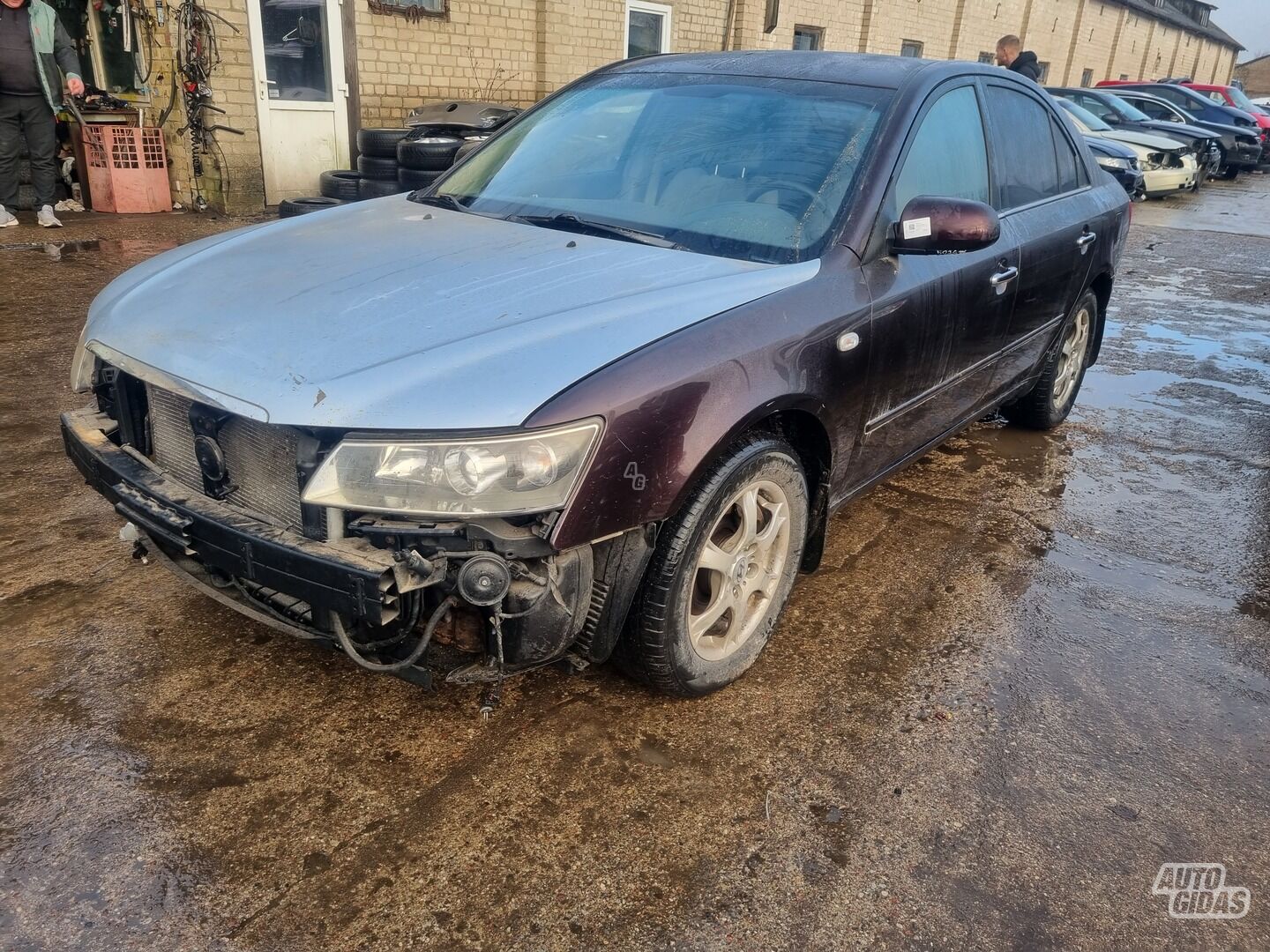 Hyundai Sonata 2008 m dalys