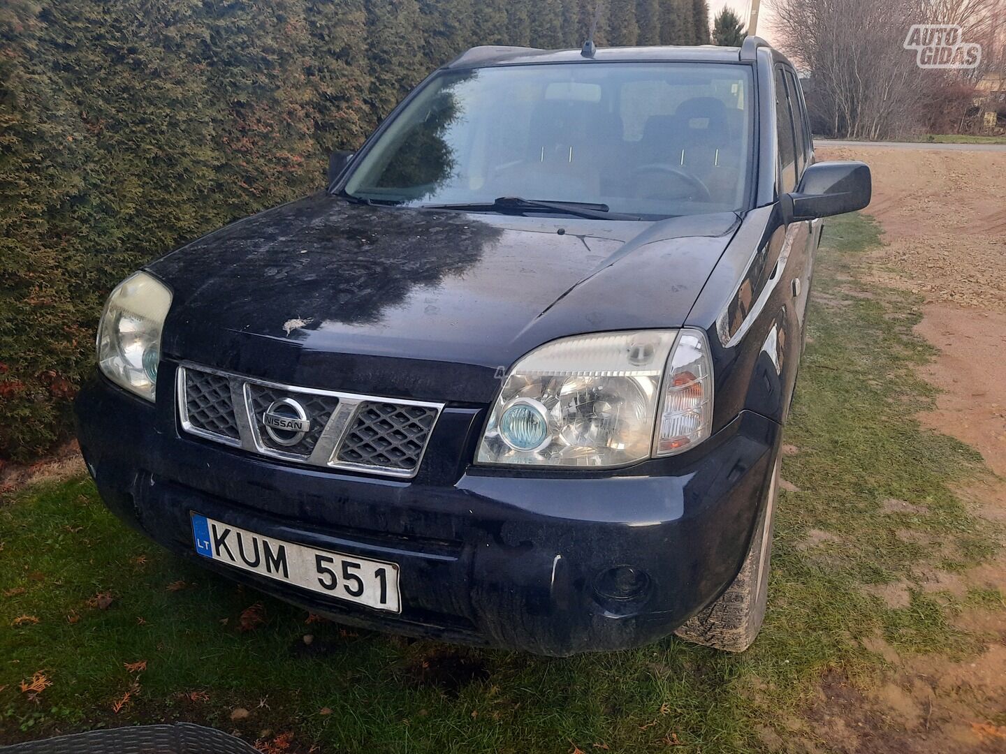 Nissan X-Trail 2005 г Внедорожник / Кроссовер