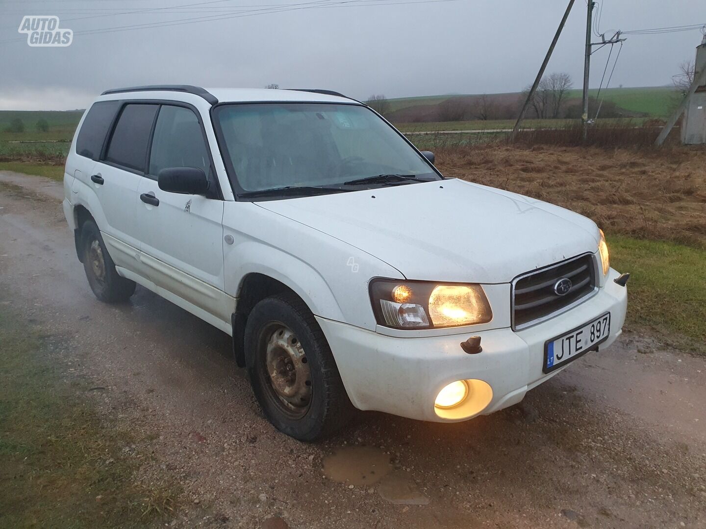 Subaru Forester 2005 y Off-road / Crossover