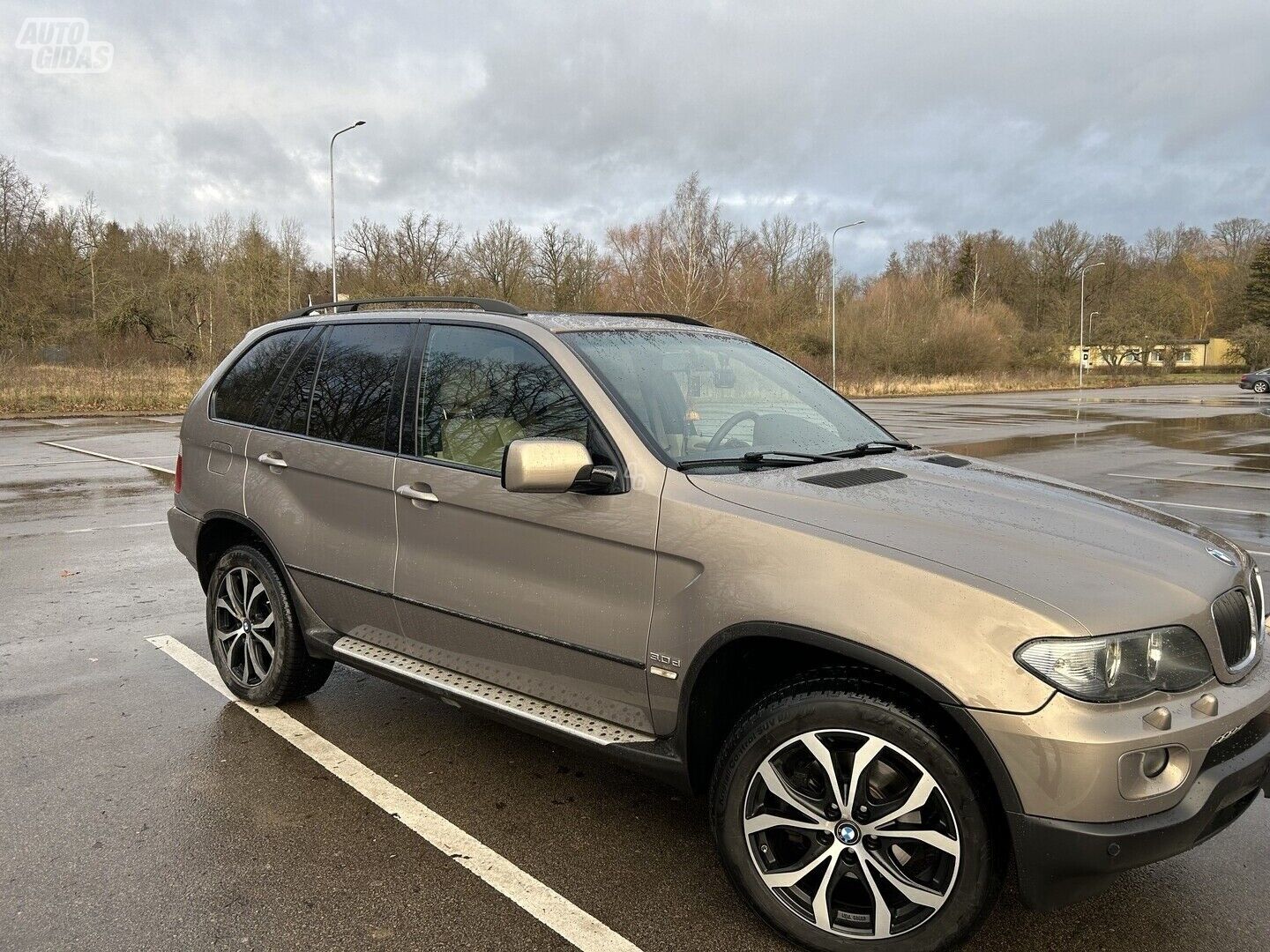 Bmw X5 2004 г Внедорожник / Кроссовер