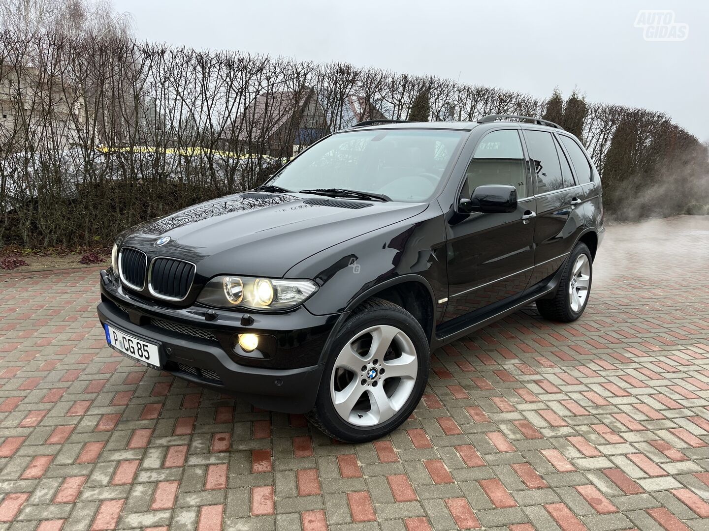 Bmw X5 2005 m Visureigis / Krosoveris