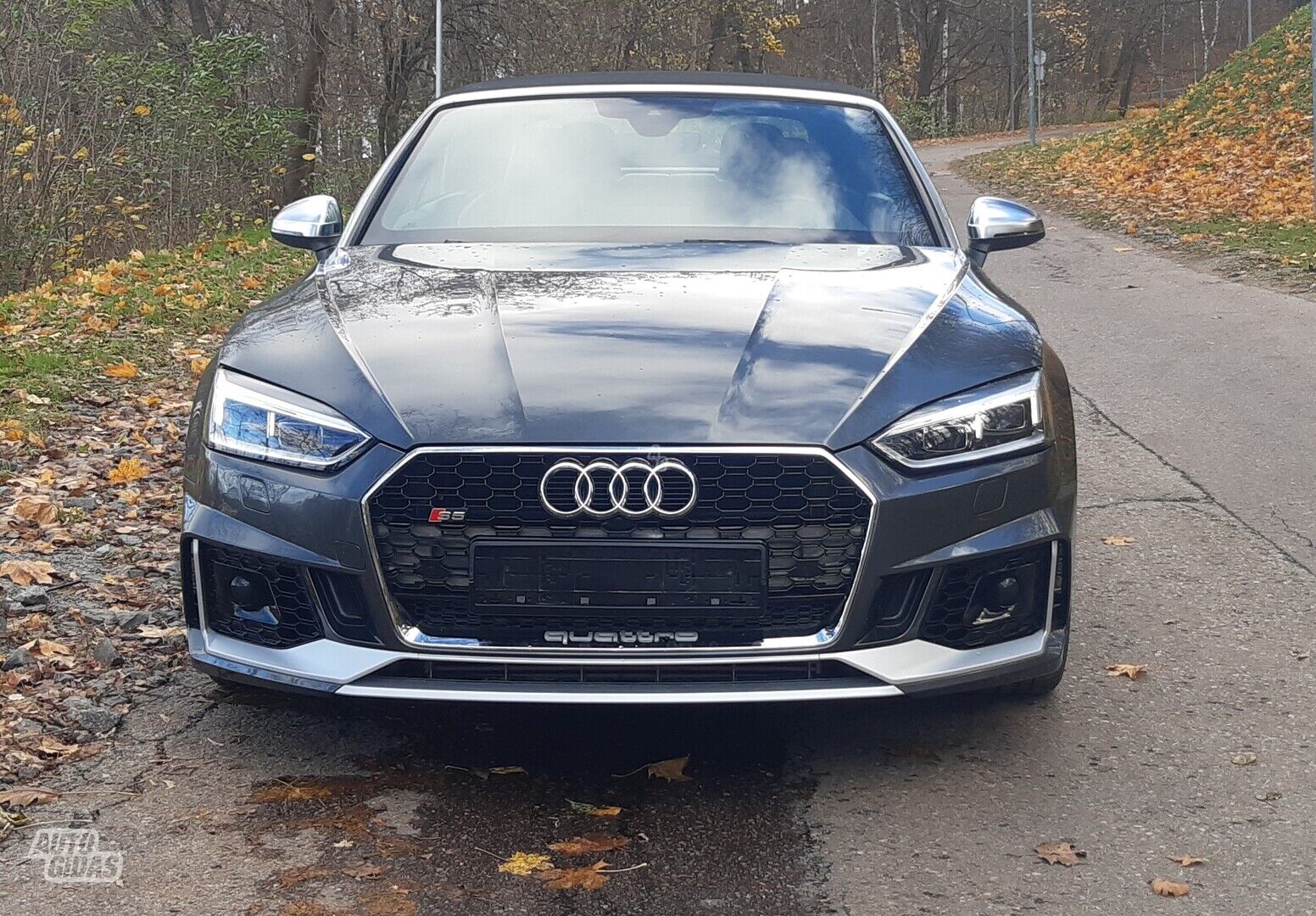 Audi S5 2019 г Кабриолет