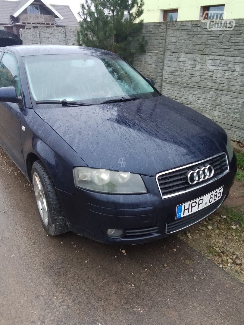 Audi A3 2005 m Hečbekas