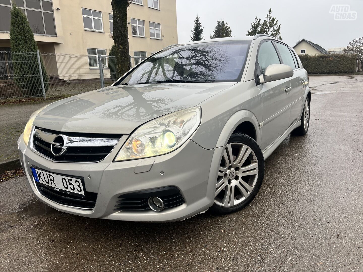 Opel Signum 2006 m Hečbekas