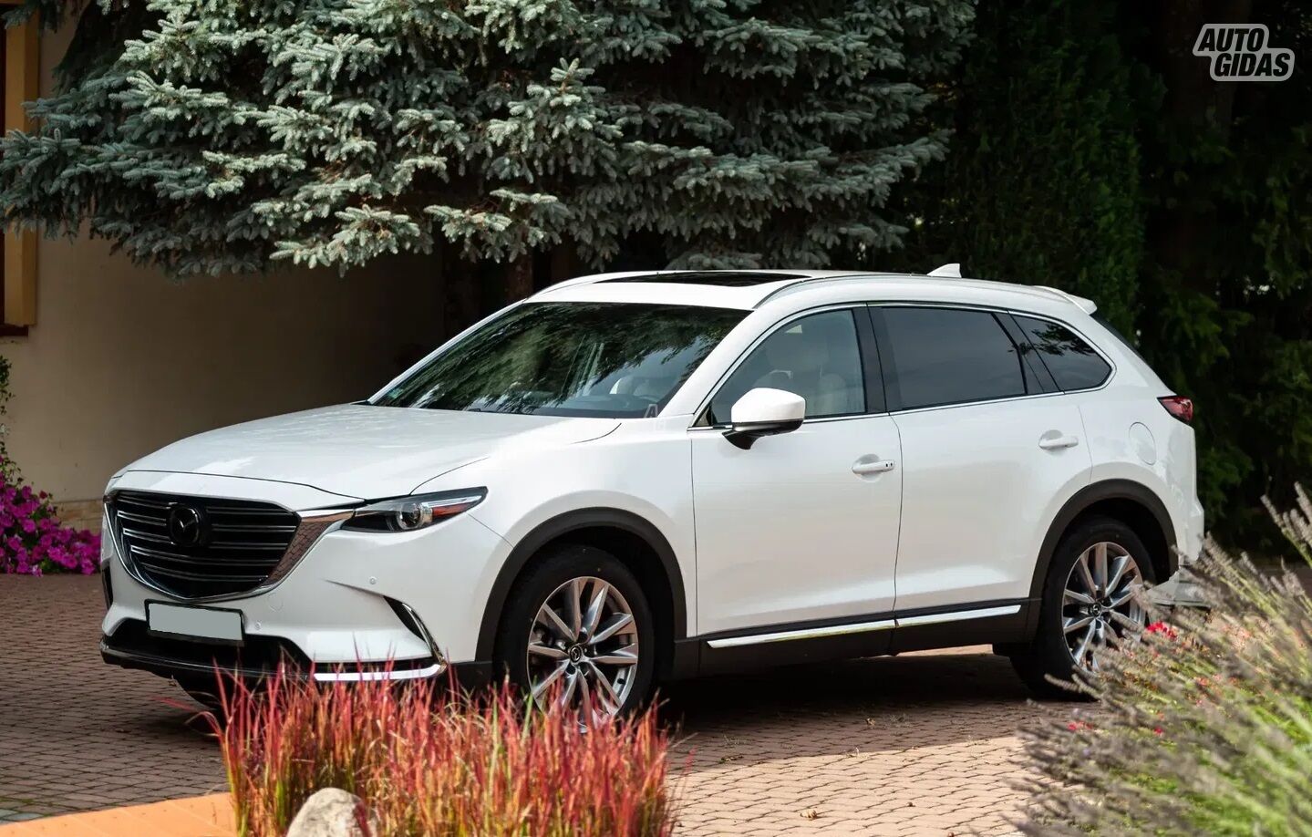 Mazda CX-9 2020 m Visureigis / Krosoveris