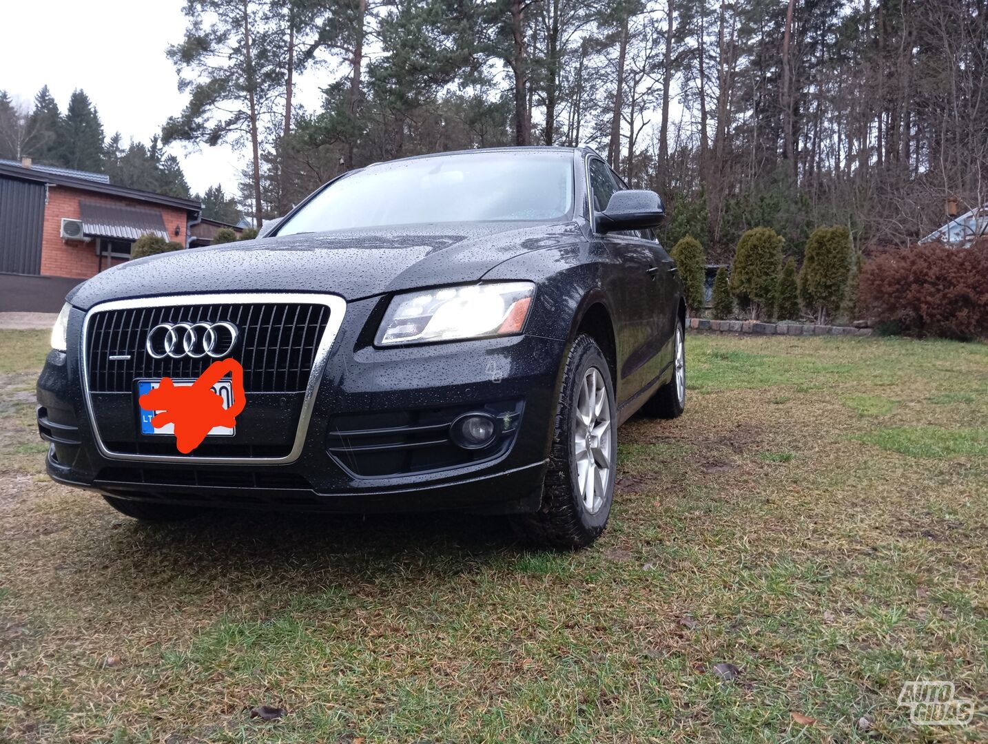 Audi Q5 2010 m Sedanas