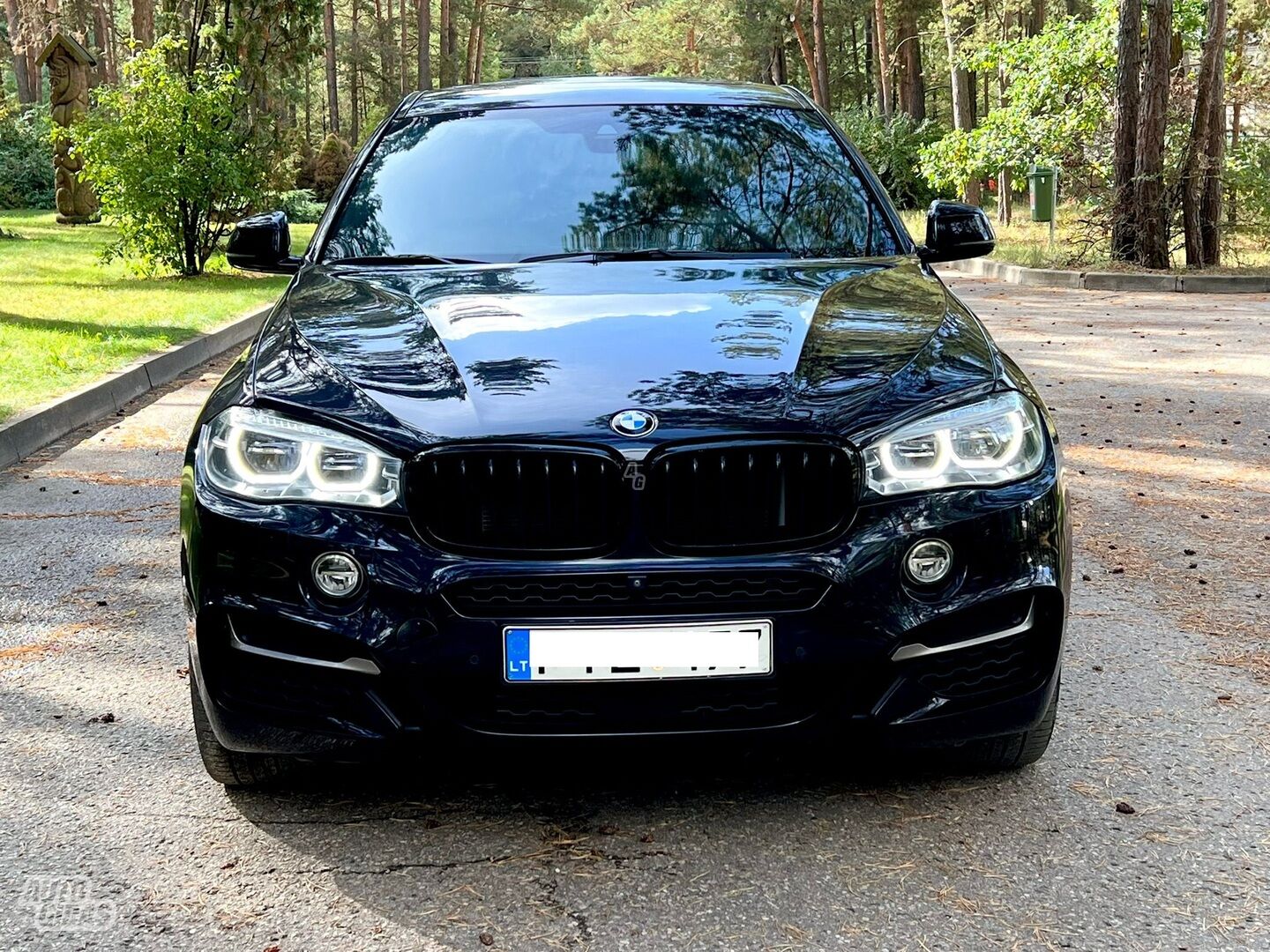 Bmw X6 2018 m Visureigis / Krosoveris