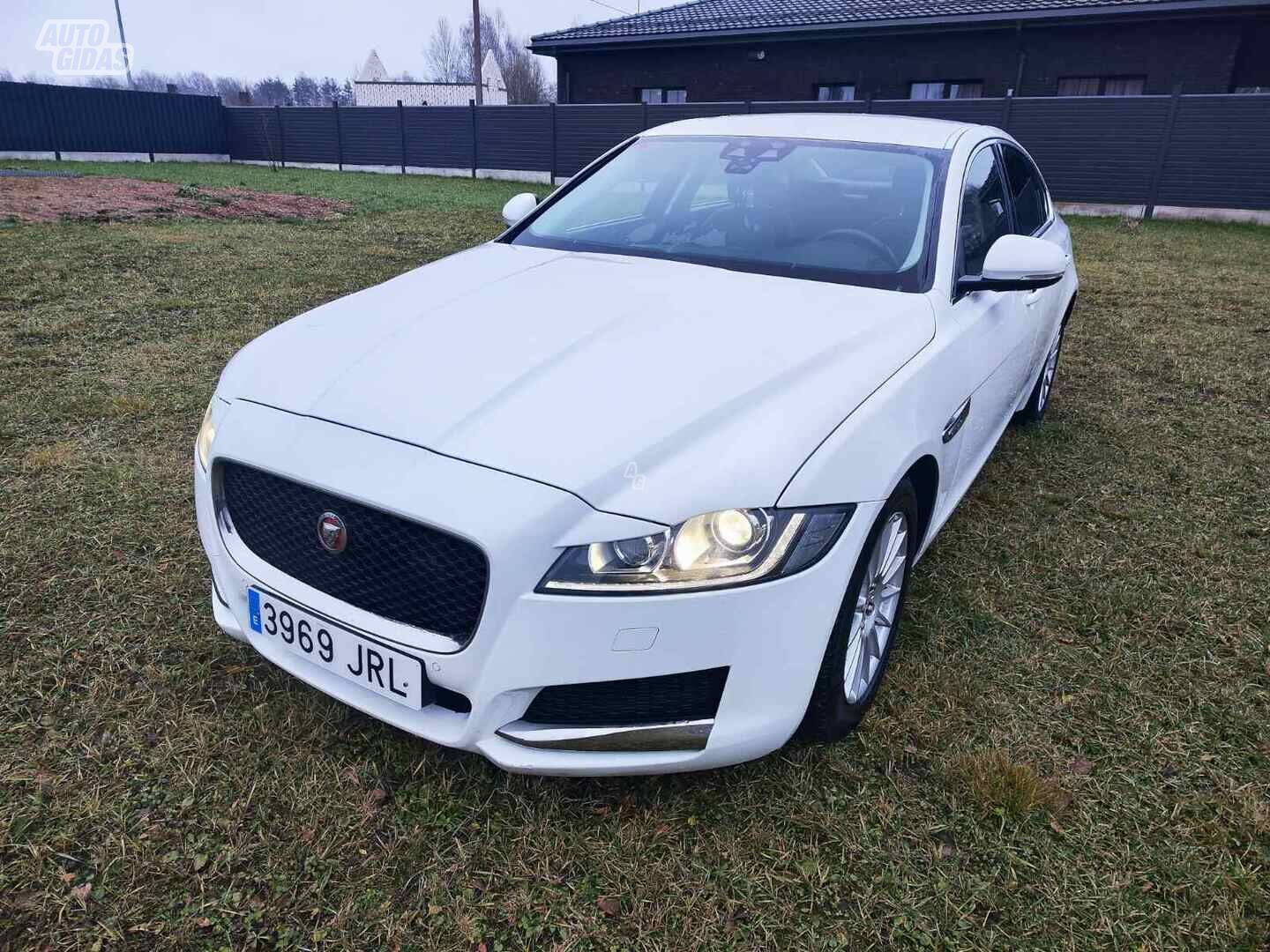 Jaguar XF 2016 y Sedan