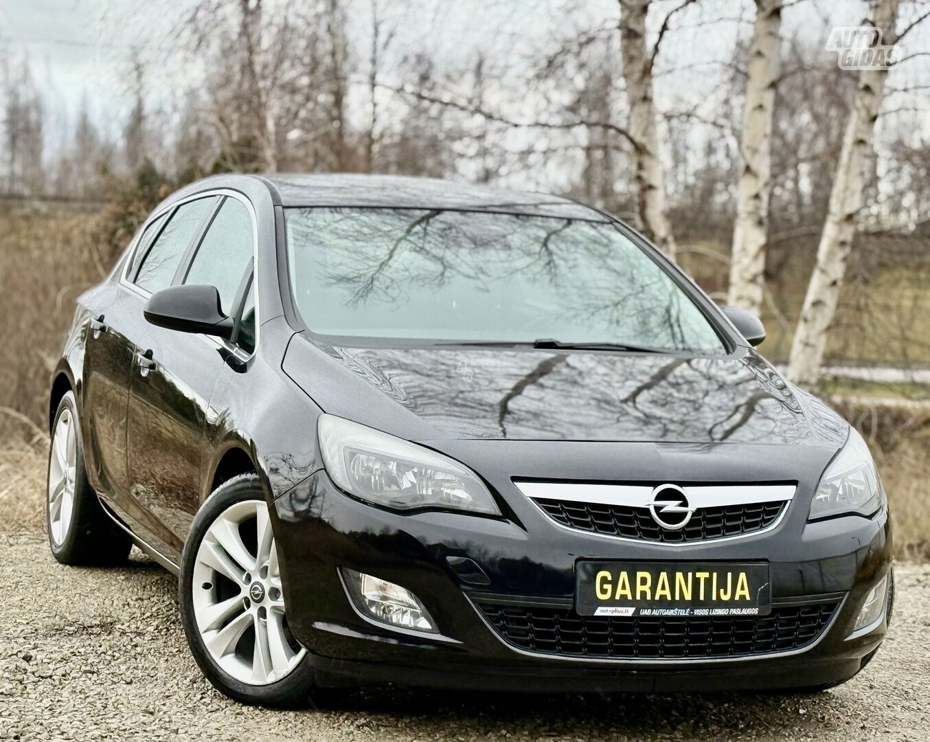 Opel Astra CDTI EU5 2011 г