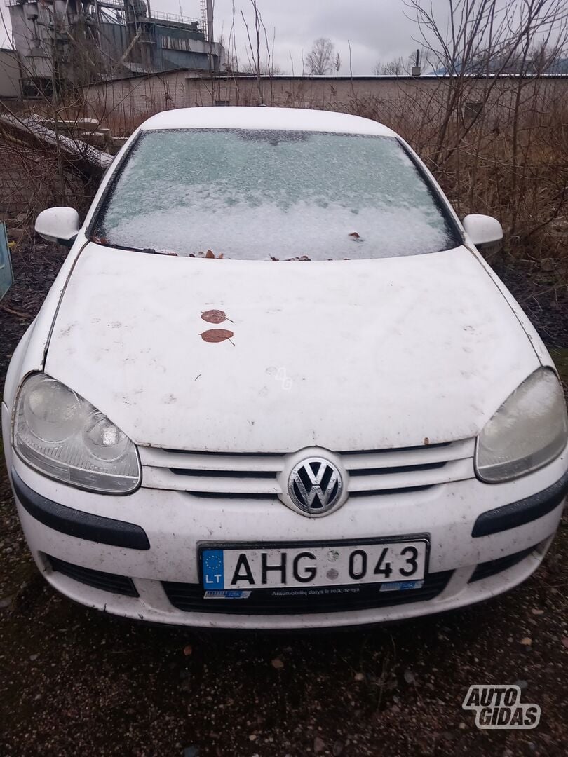 Volkswagen Golf 2005 m Hečbekas