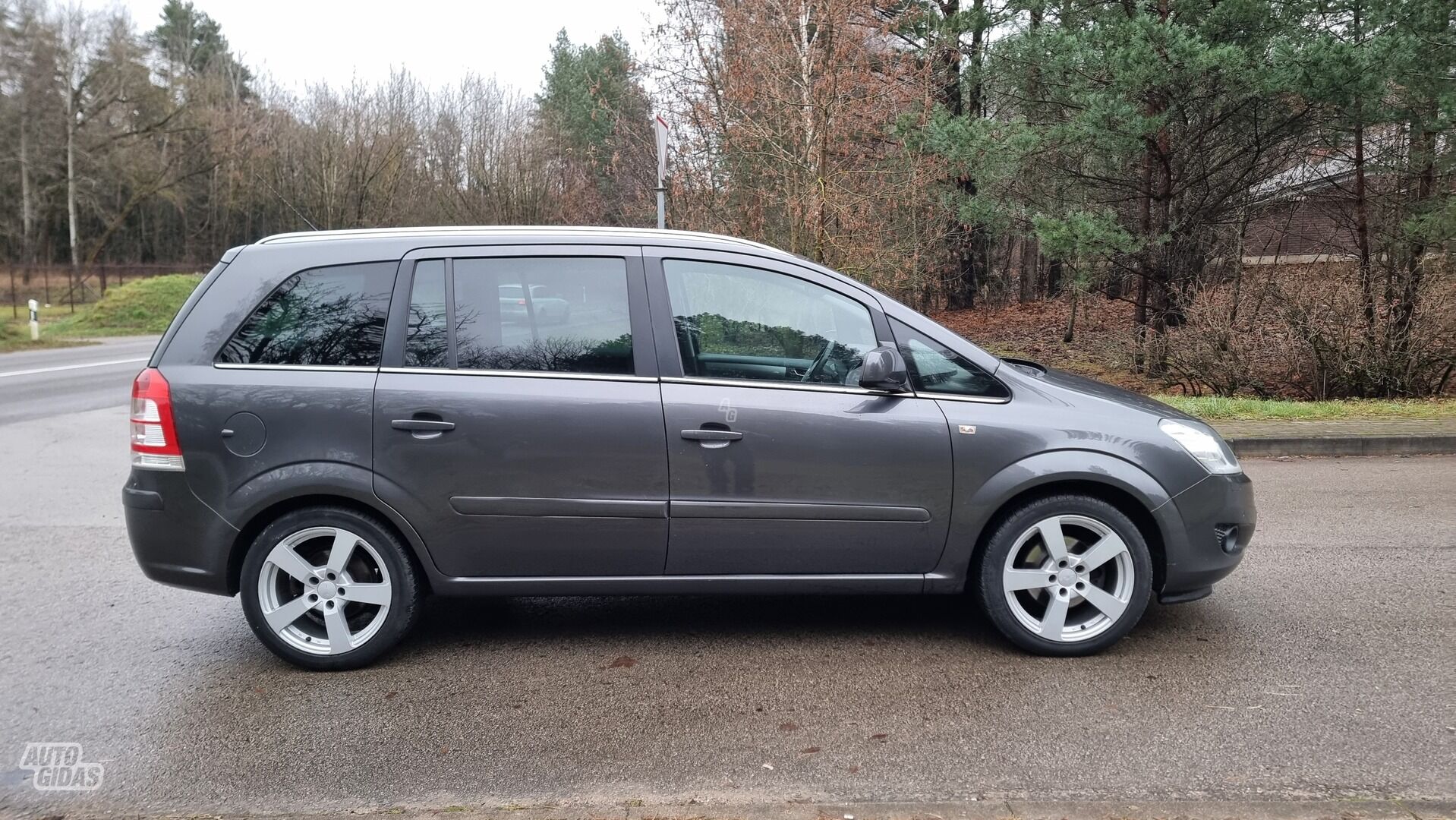 Opel Zafira 2012 y Van