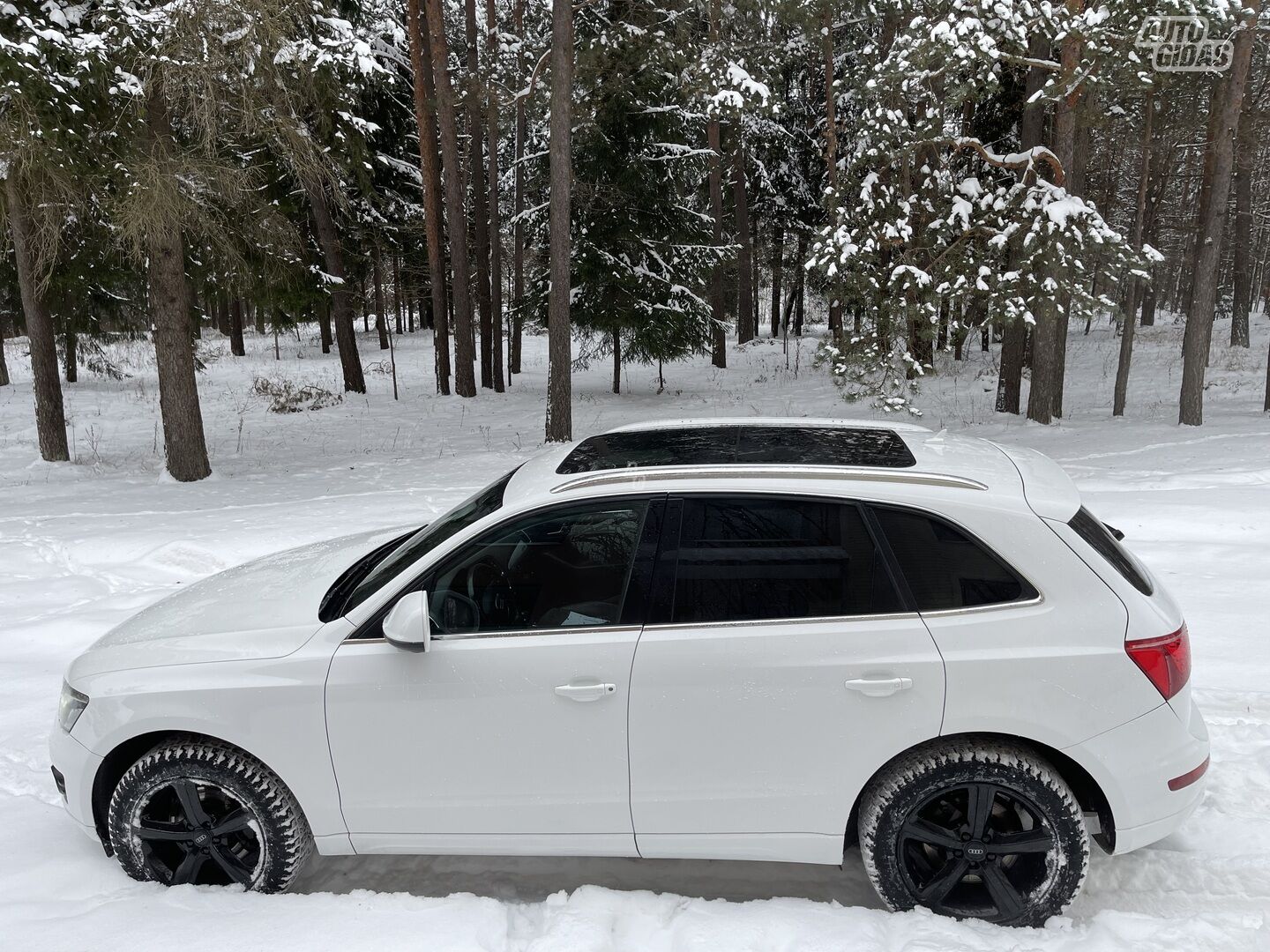 Audi Q5 3000 GERO IŠPILDYMO 2009 y