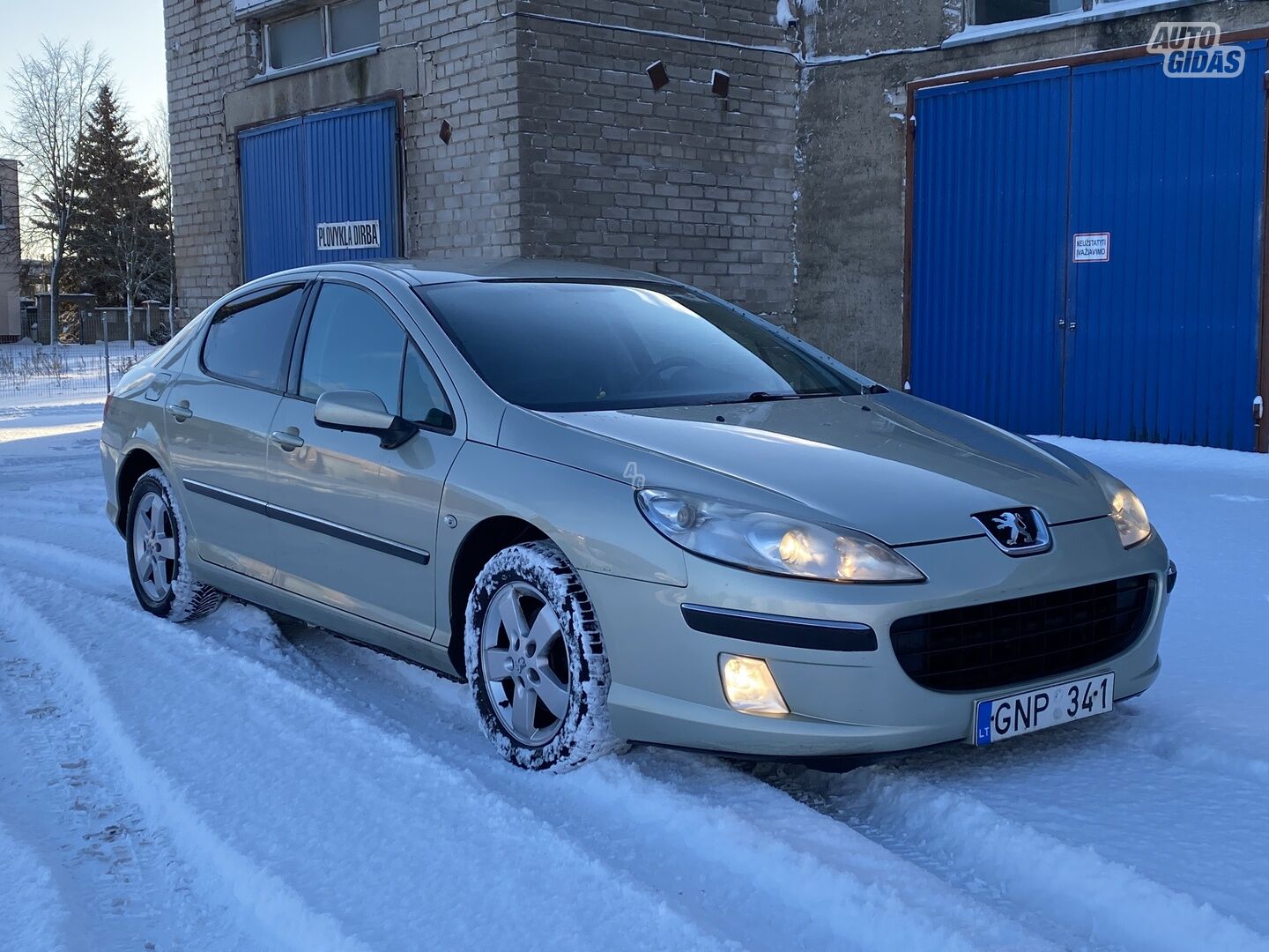 Peugeot 407 2005 m Sedanas