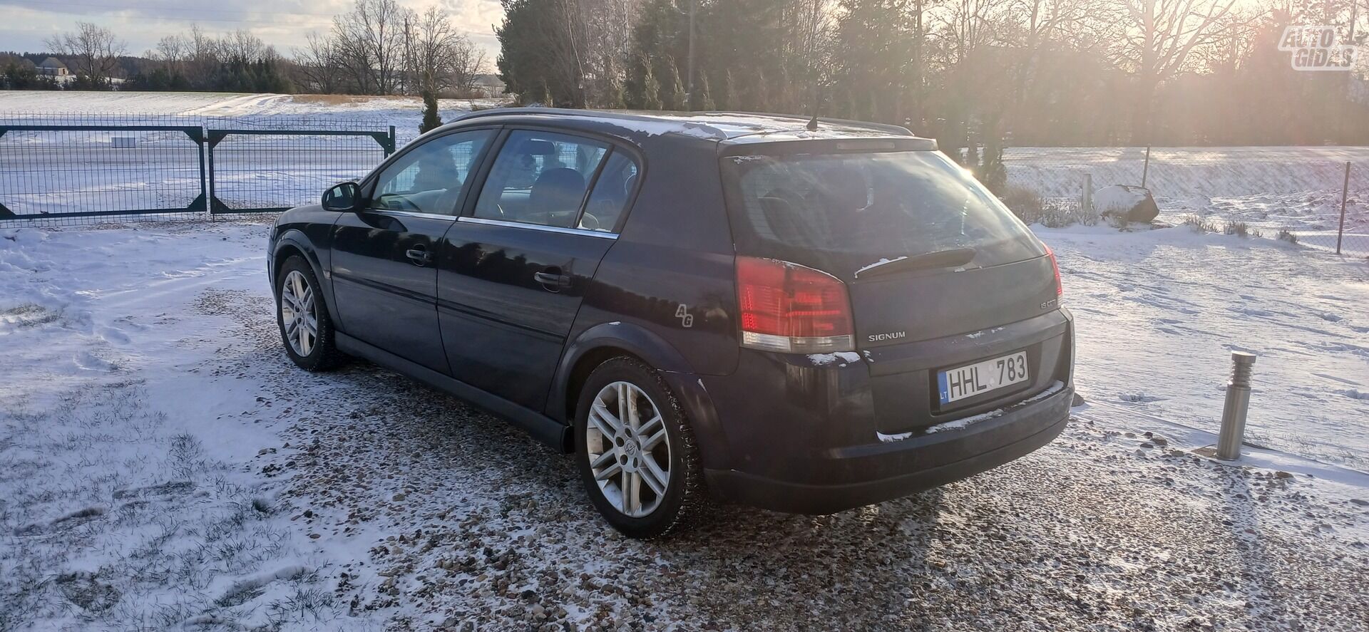 Opel Signum 2004 m Hečbekas