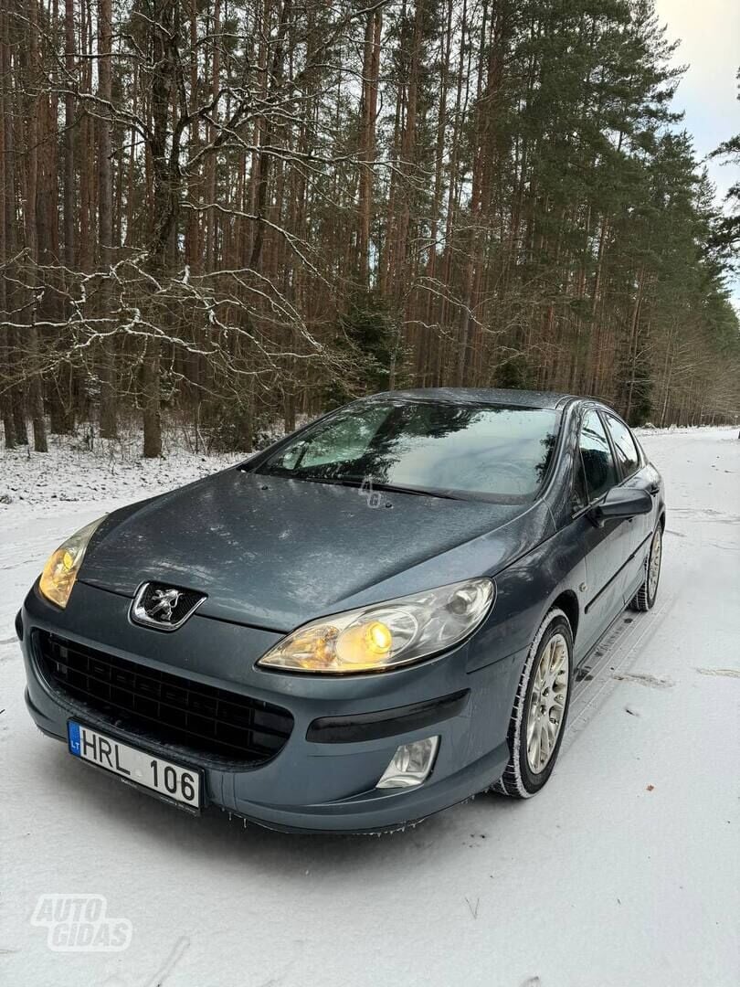 Peugeot 407 2005 m Sedanas