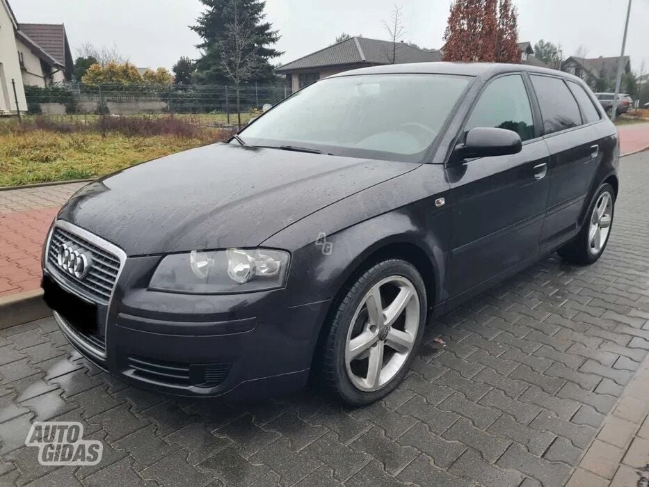 Audi A3 2007 m Hečbekas