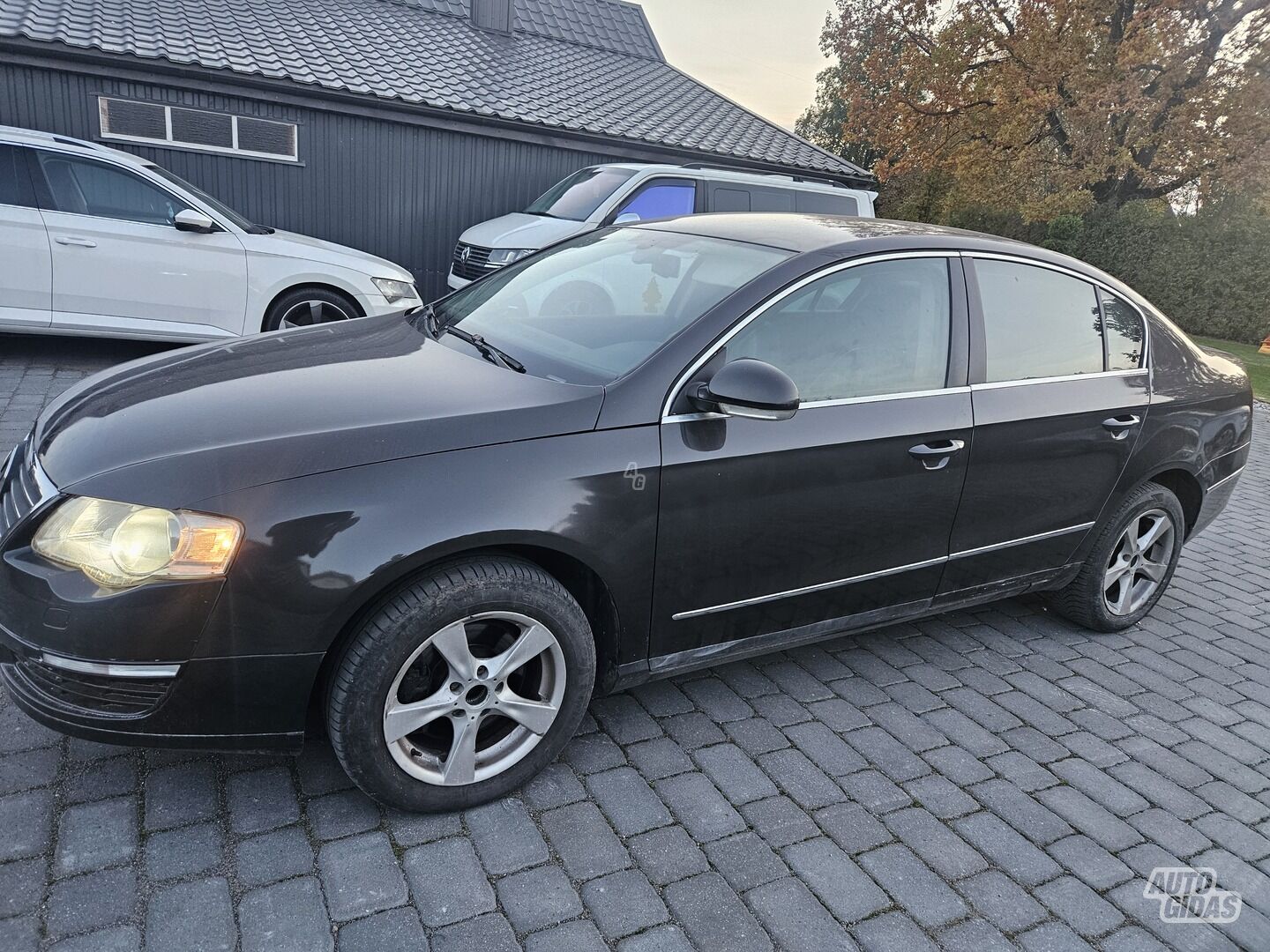 Volkswagen Passat 2005 m Sedanas