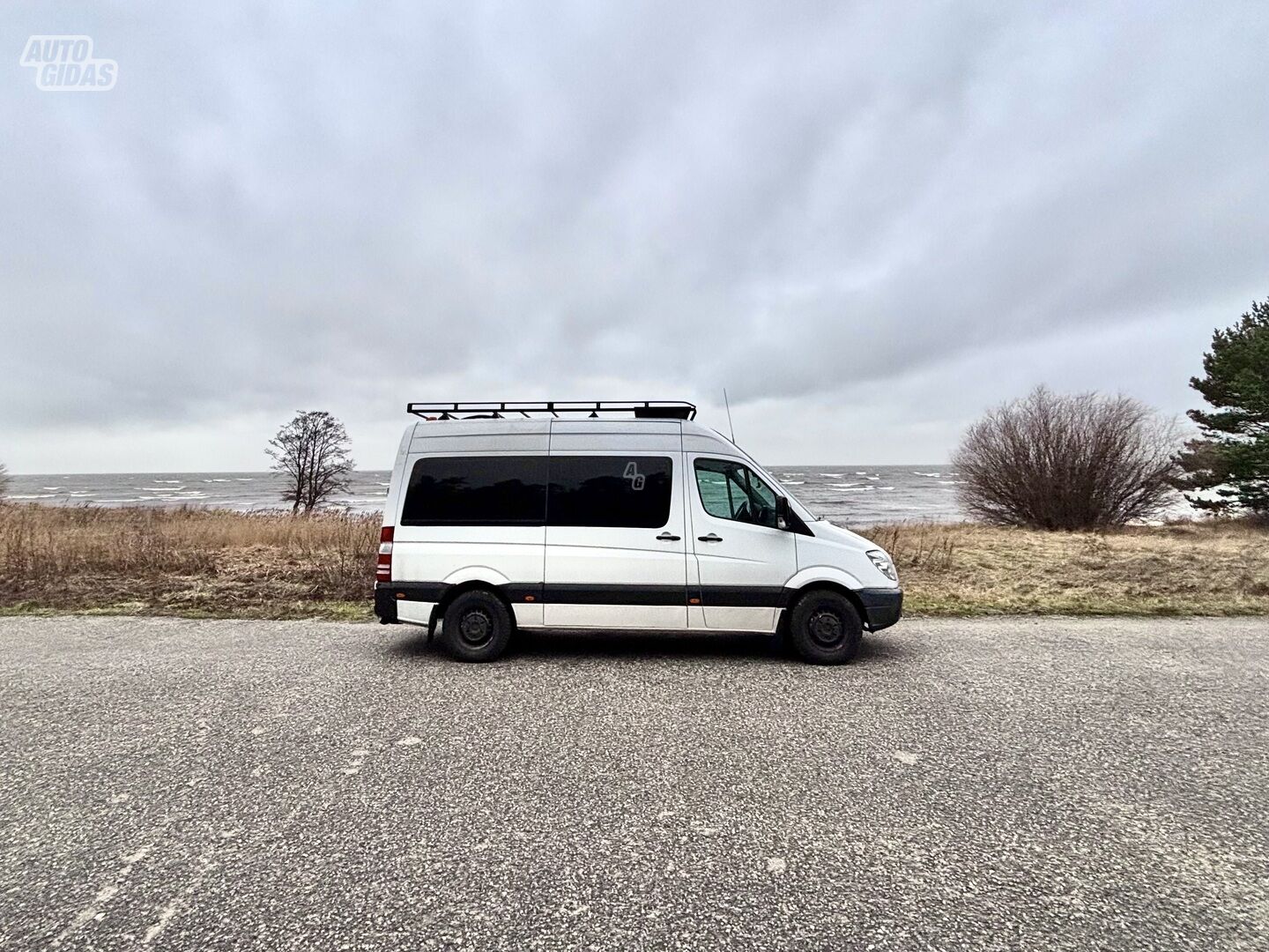 Mercedes-Benz Sprinter 2008 y Touring car