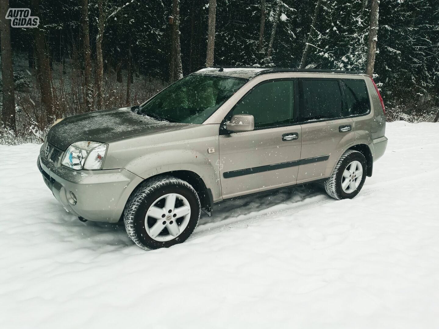 Nissan X-Trail 2005 y Off-road / Crossover