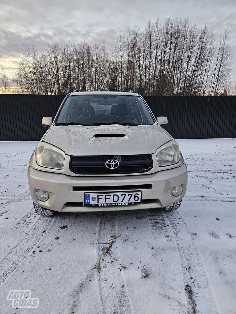 Toyota RAV4 2004 г Внедорожник / Кроссовер