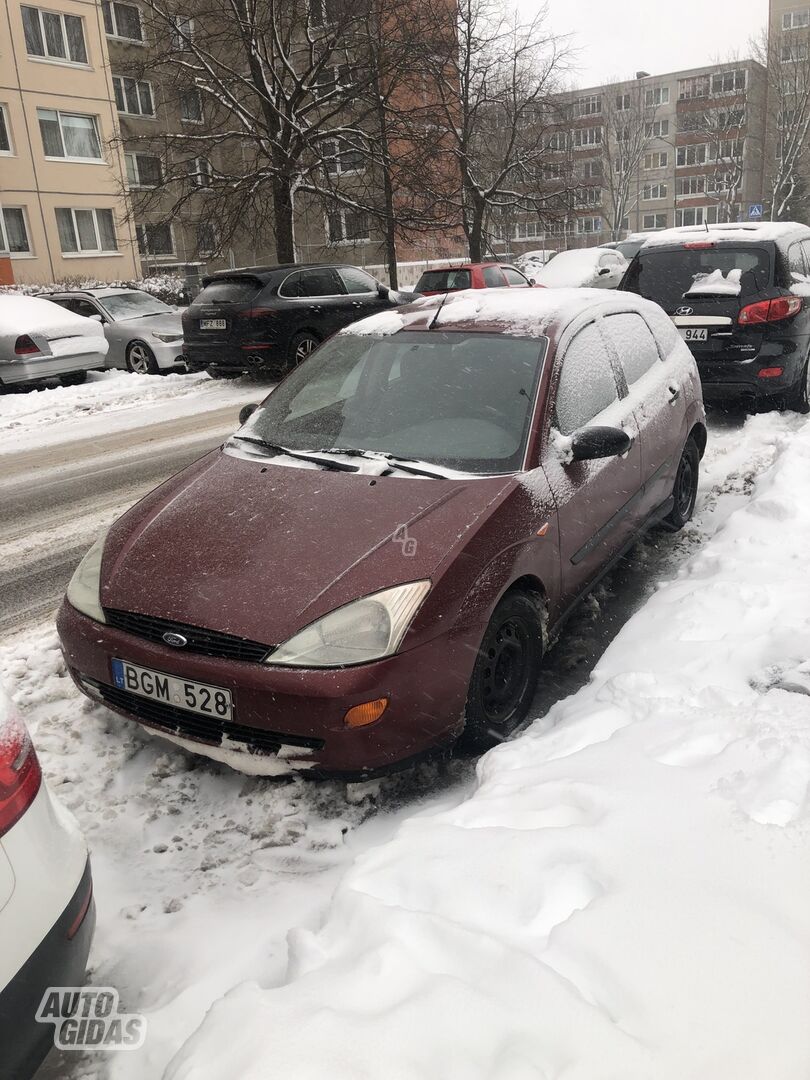 Ford Focus 2000 y Hatchback