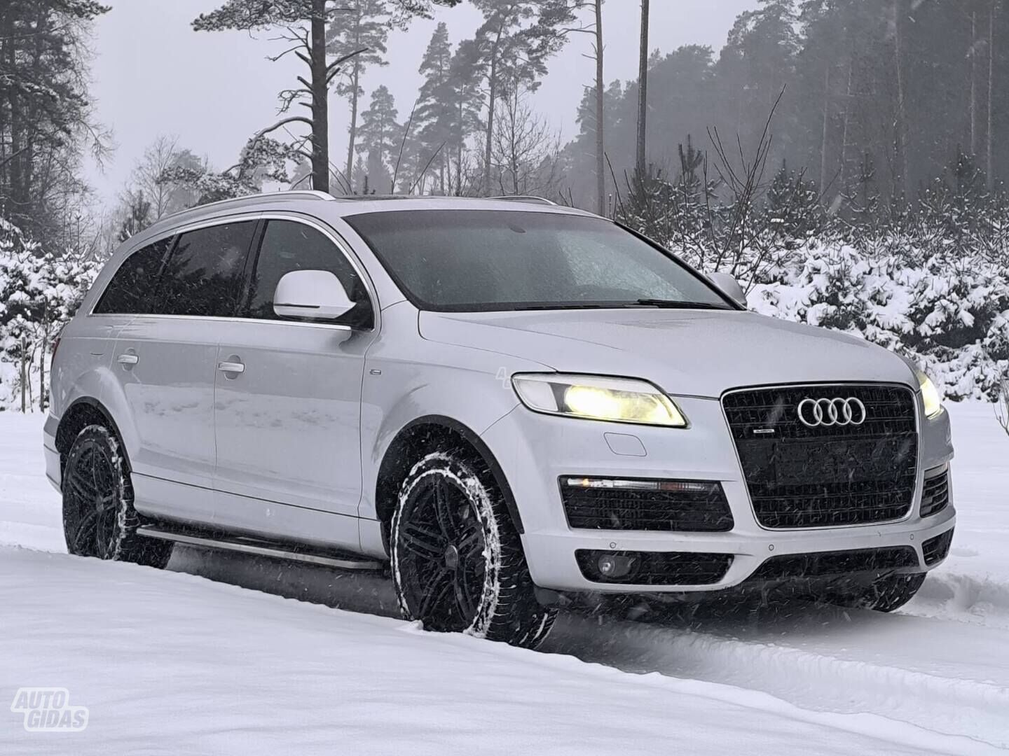 Audi Q7 2009 г Внедорожник / Кроссовер